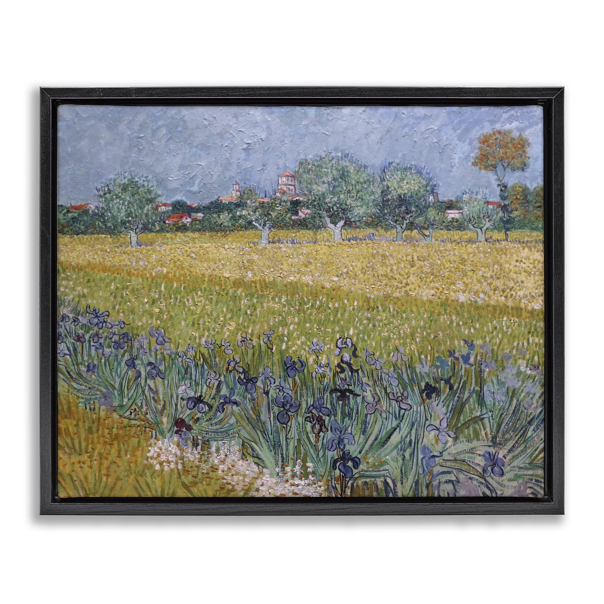 Stupell Industries Van Gogh View of Arles Landscape & Nature Painting Black Floater Framed Canvas Art Print Wall Art, 31 x 25