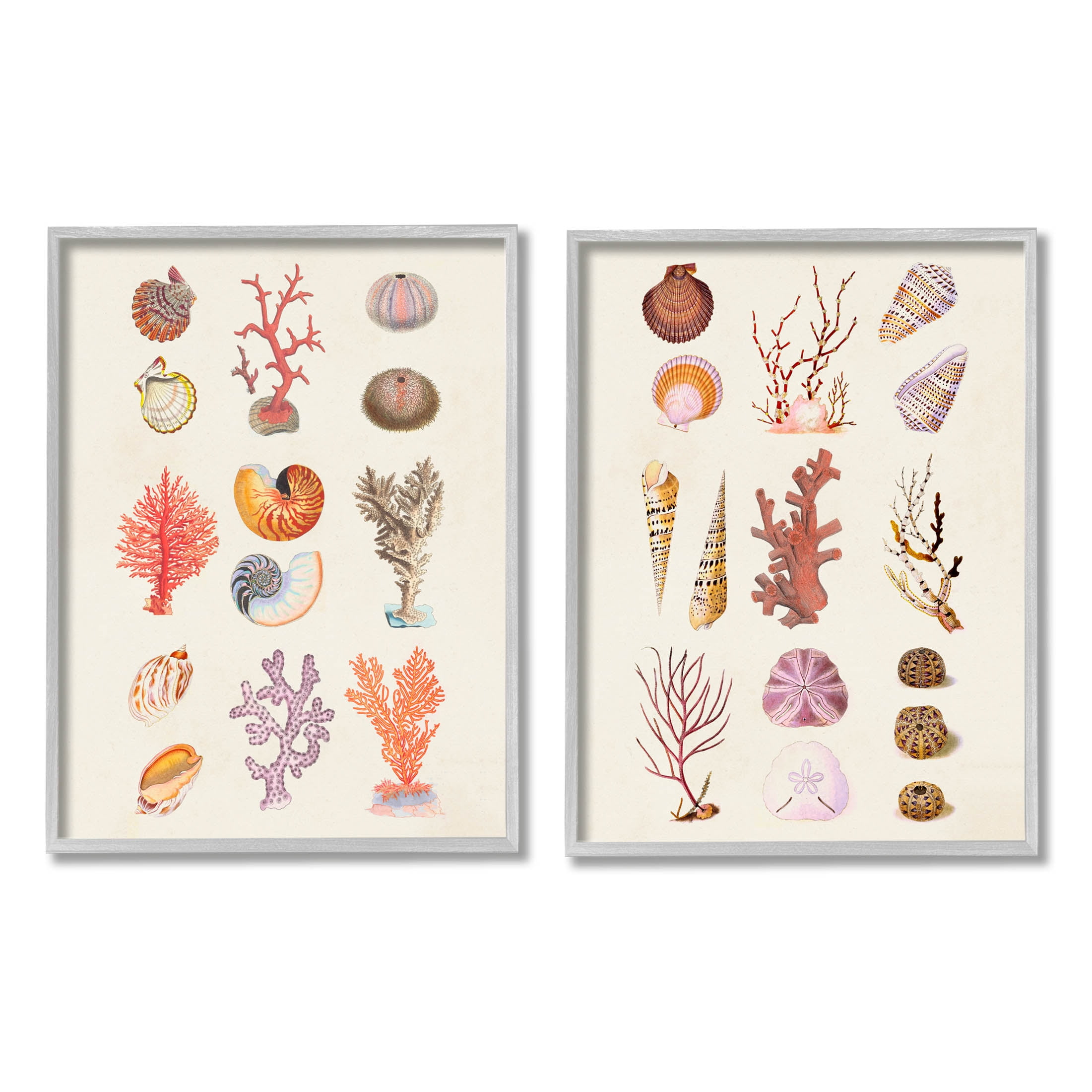 Stupell Industries Varied Aquatic Sea Life Graphic Art Gray Framed Art Print Wall Art, Set of 2, Design by Vision Studio