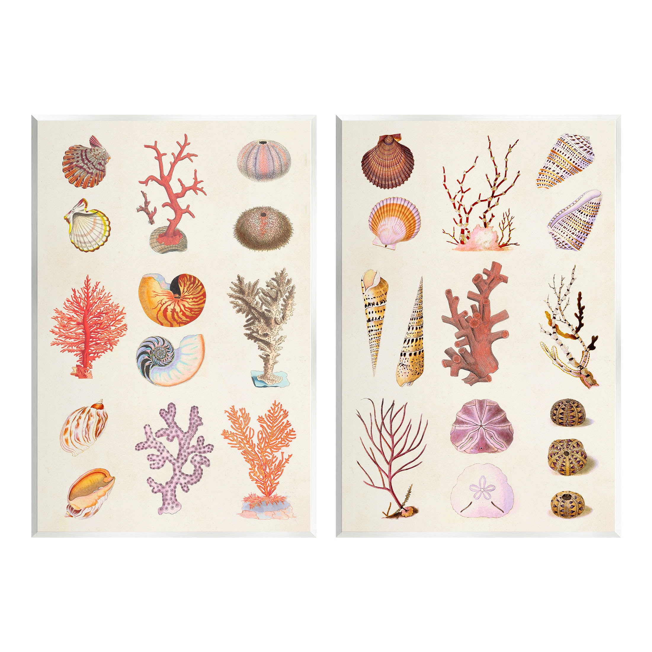 Stupell Industries Varied Aquatic Sea Life Graphic Art Unframed Art Print Wall Art, Set of 2, Design by Vision Studio