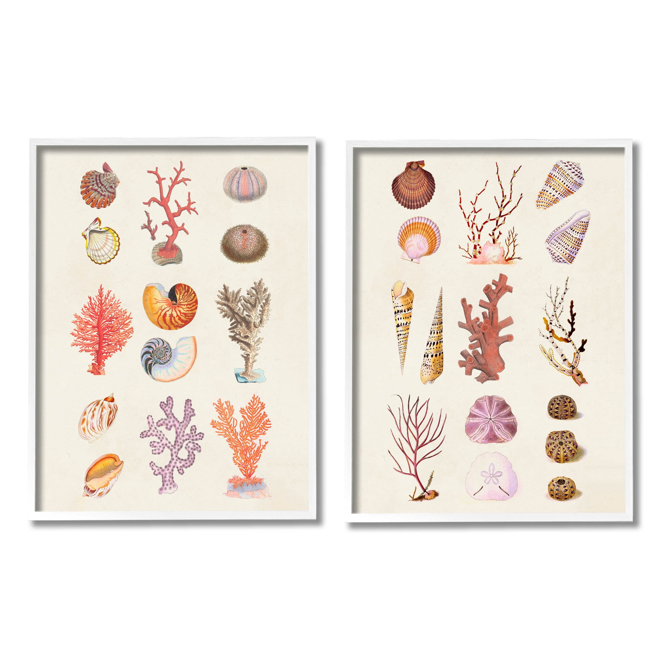 Stupell Industries Varied Aquatic Sea Life Graphic Art White Framed Art Print Wall Art, Set of 2, Design by Vision Studio