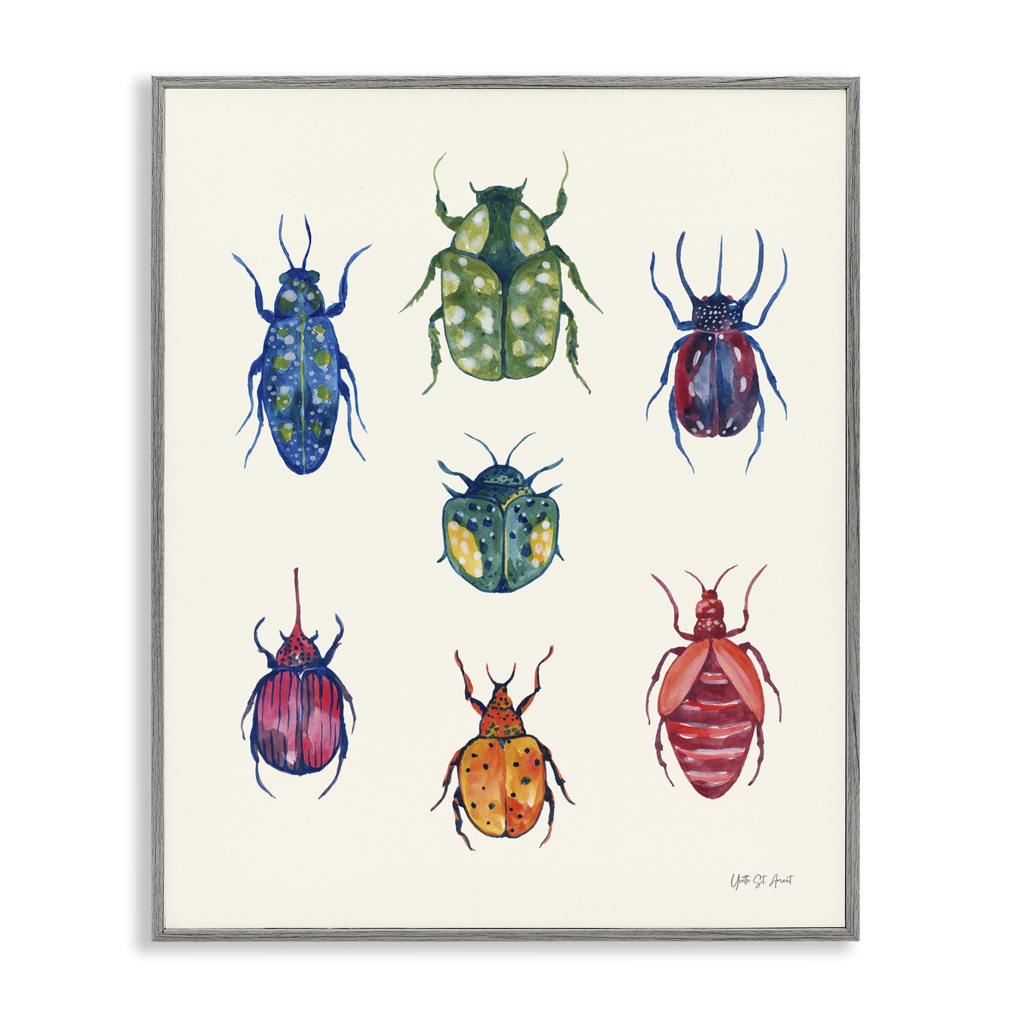 Stupell Industries Varied Beetle Chart Insects Painting Gray Framed Art Print Wall Art, 16 x 20