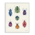 thumbnail image 1 of Stupell Industries Varied Beetle Chart Insects Painting White Framed Art Print Wall Art, 16 x 20, 1 of 2