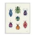 thumbnail image 1 of Stupell Industries Varied Beetle Chart Insects Painting White Framed Art Print Wall Art, 24 x 30, 1 of 2