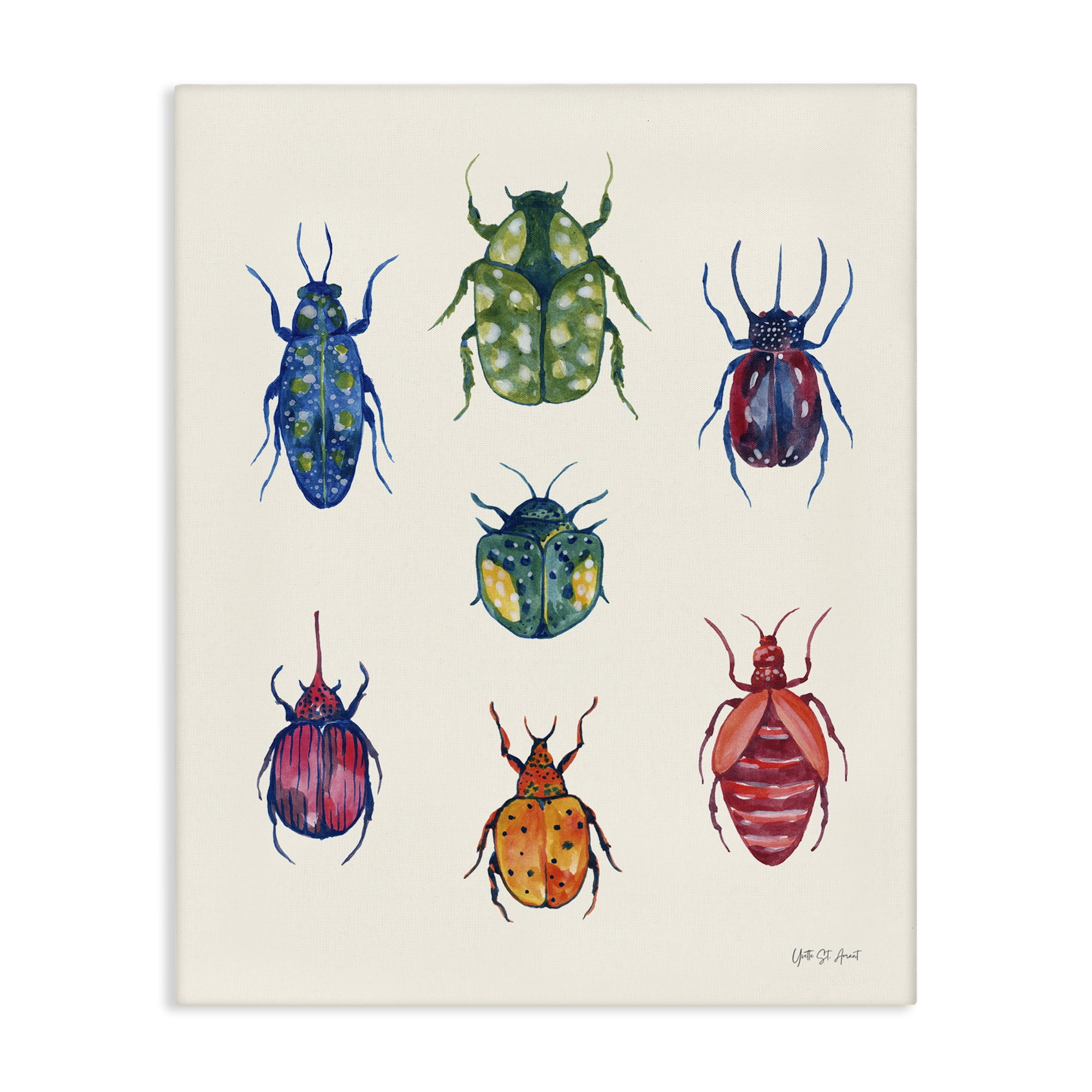 Stupell Industries Varied Beetle Chart Insects Painting Wrapped Canvas Art Print Wall Art, 36 x 48