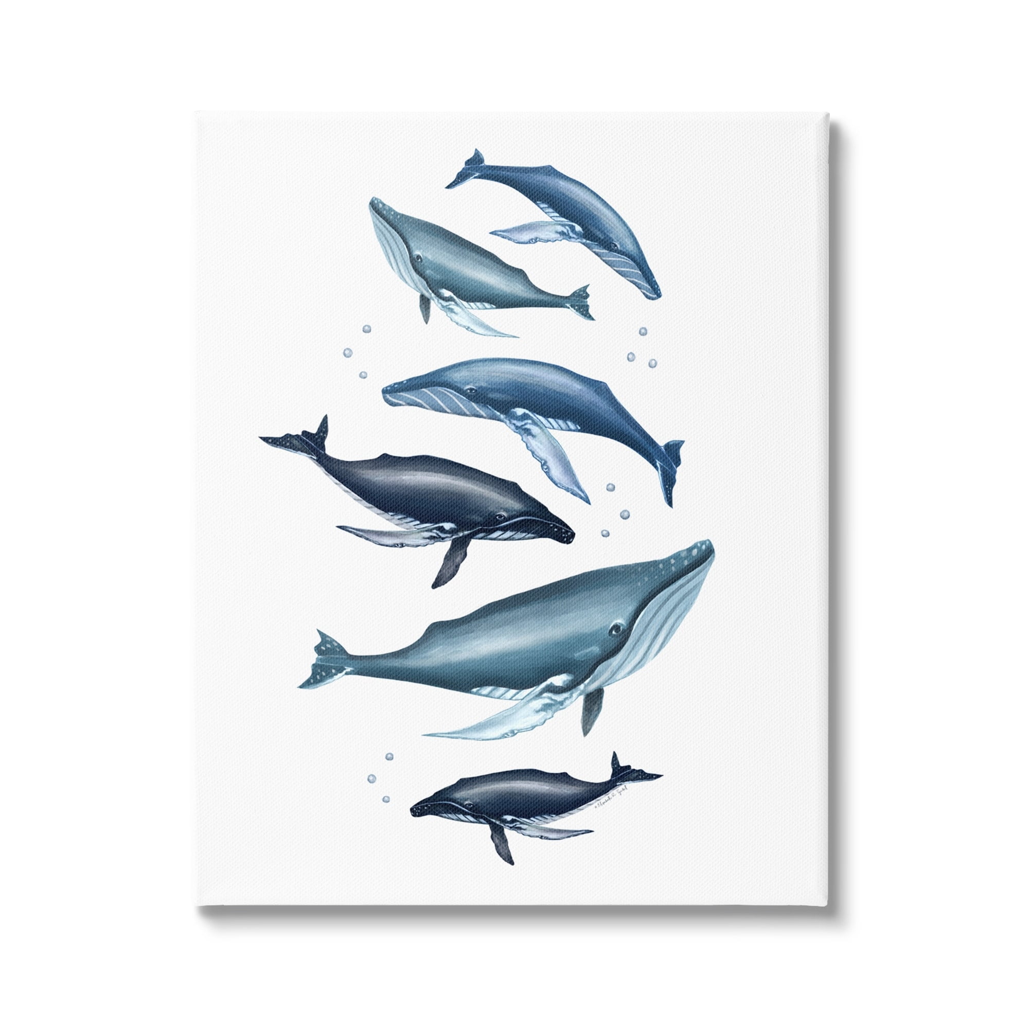 Stupell Industries Varied Blue Whales Marine Life Bubbles Fins Canvas Wall Art, 16 x 20, Design by Elizabeth Tyndall