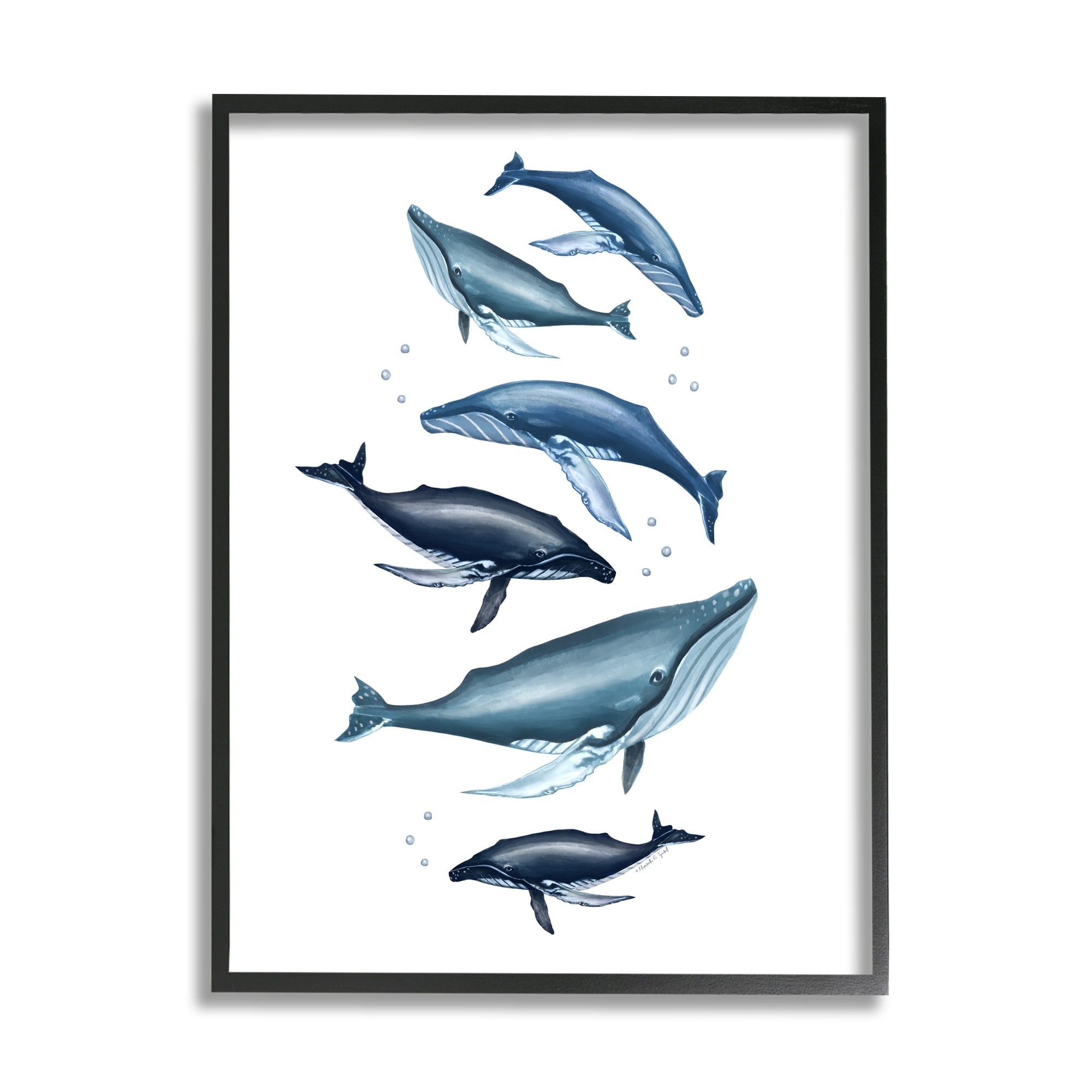 Stupell Industries Varied Blue Whales Marine Life Bubbles Fins Framed Wall Art, 16 x 20, Design by Elizabeth Tyndall