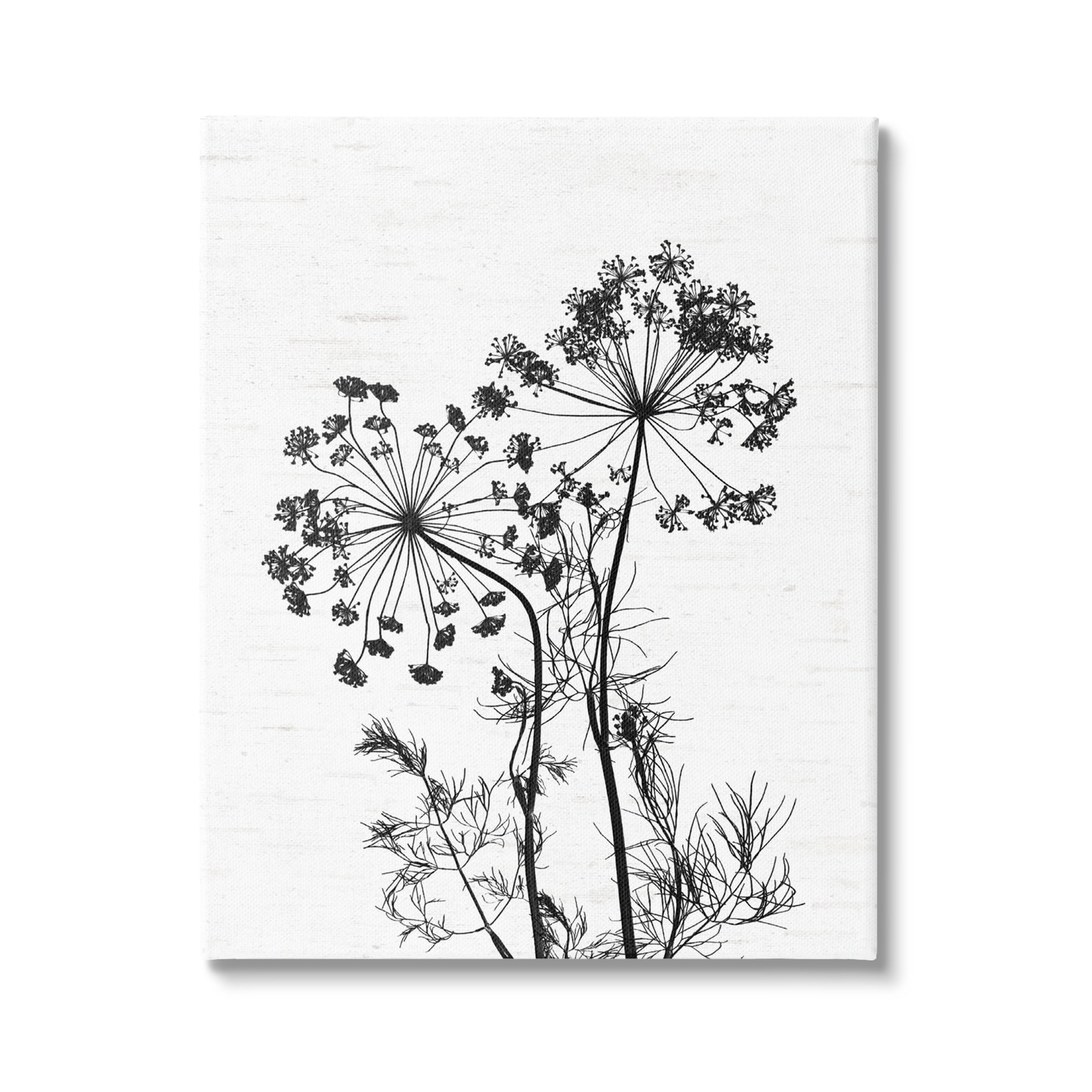 Stupell Industries Varied Botanical Herbs Casual Wildflower Birch Pattern Graphic Art Gallery Wrapped Canvas Print Wall Art, Design by Lettered and Lined