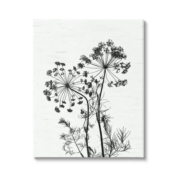 Stupell Industries Varied Botanical Herbs Casual Wildflower Birch Pattern Graphic Art Gallery Wrapped Canvas Print Wall Art, Design by Lettered and Lined