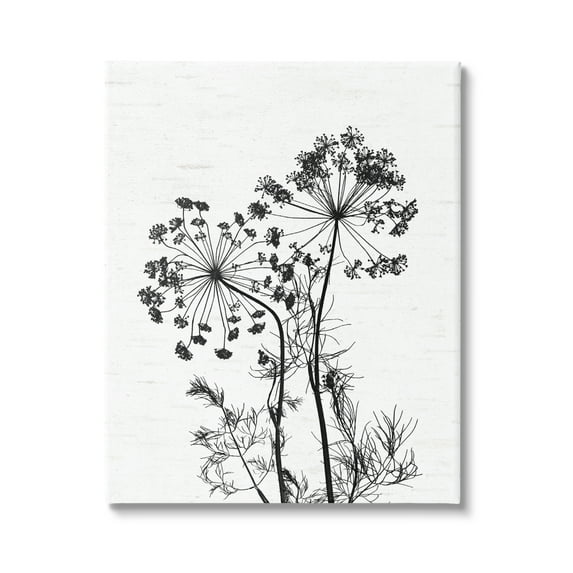 Stupell Industries Varied Botanical Herbs Casual Wildflower Birch Pattern Graphic Art Gallery Wrapped Canvas Print Wall Art, Design by Lettered and Lined