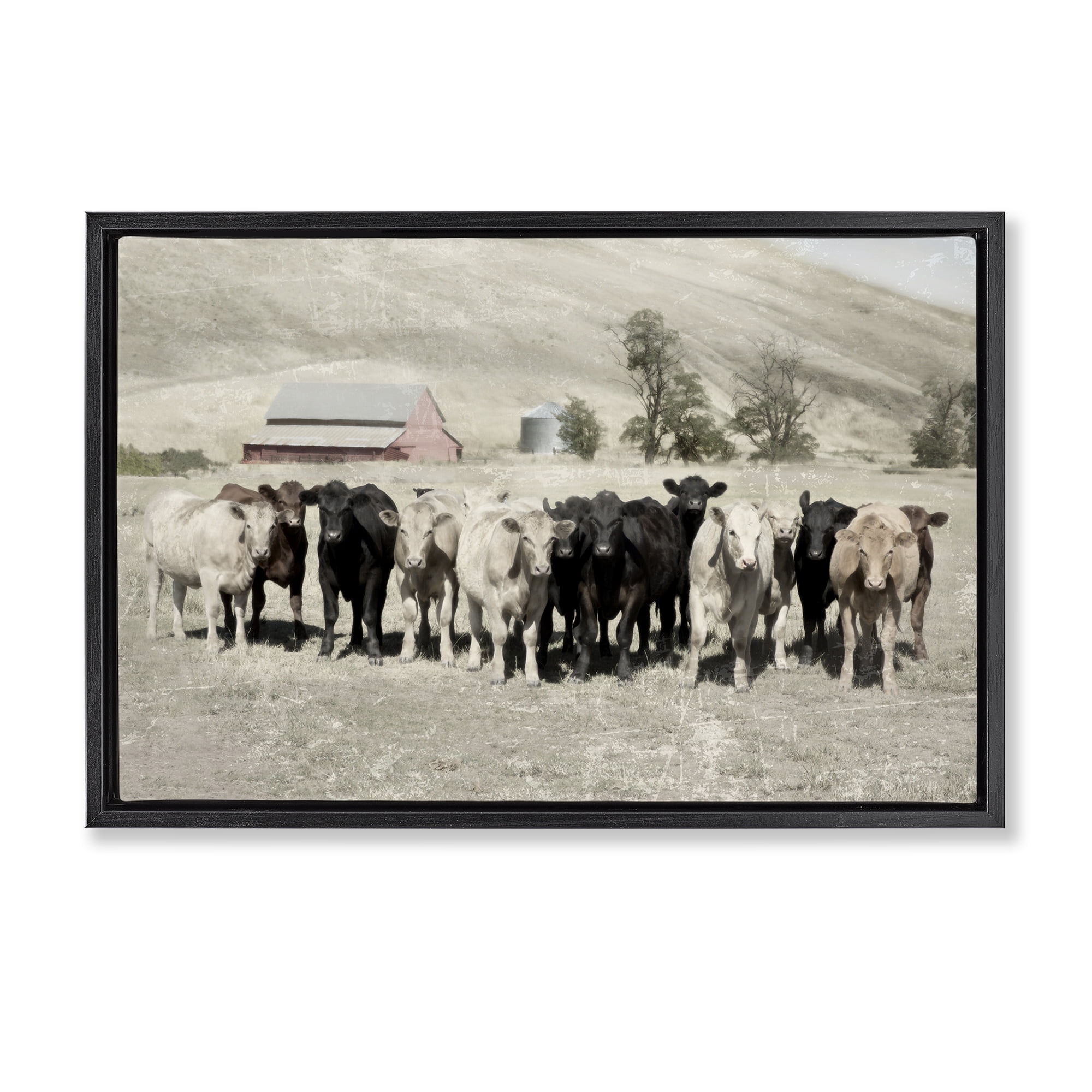 Stupell Industries Varied Cattle on Farm Landscape Painting Black Floater Framed Canvas Art Print Wall Art, 31 x 21