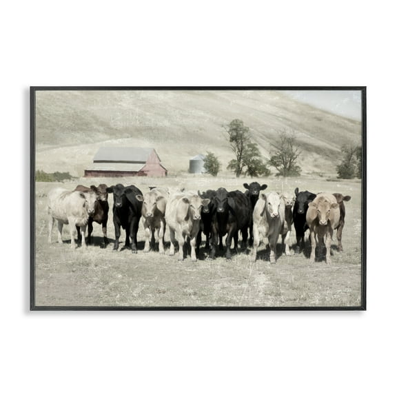 Stupell Industries Varied Cattle on Farm Landscape Painting Black Framed Art Print Wall Art, 18 x 12