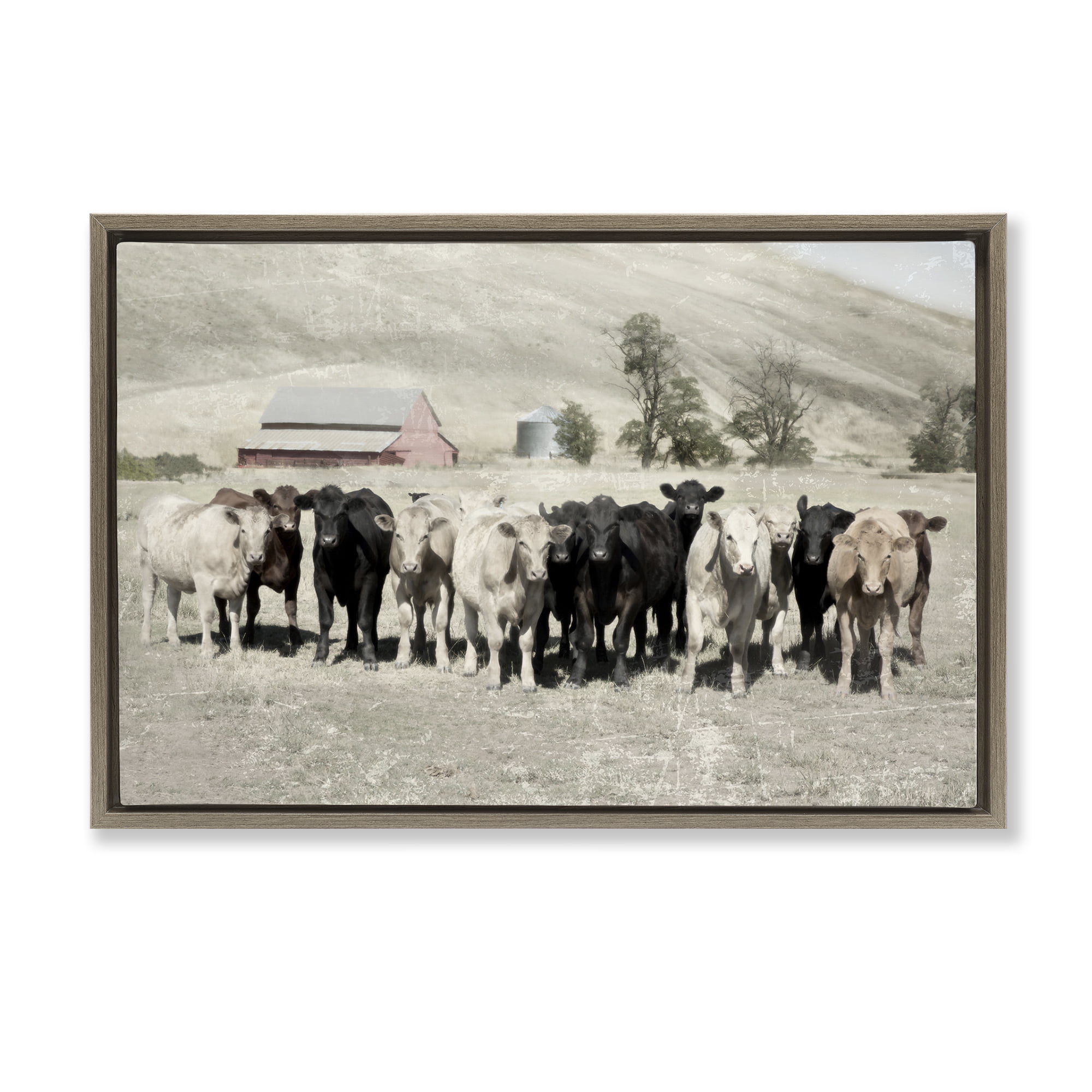 Stupell Industries Varied Cattle on Farm Landscape Painting Brown Floater Framed Canvas Art Print Wall Art, 31 x 21