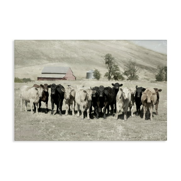 Stupell Industries Varied Cattle on Farm Landscape Painting Gallery Wrapped Canvas Art Print Wall Art, 24 x 16