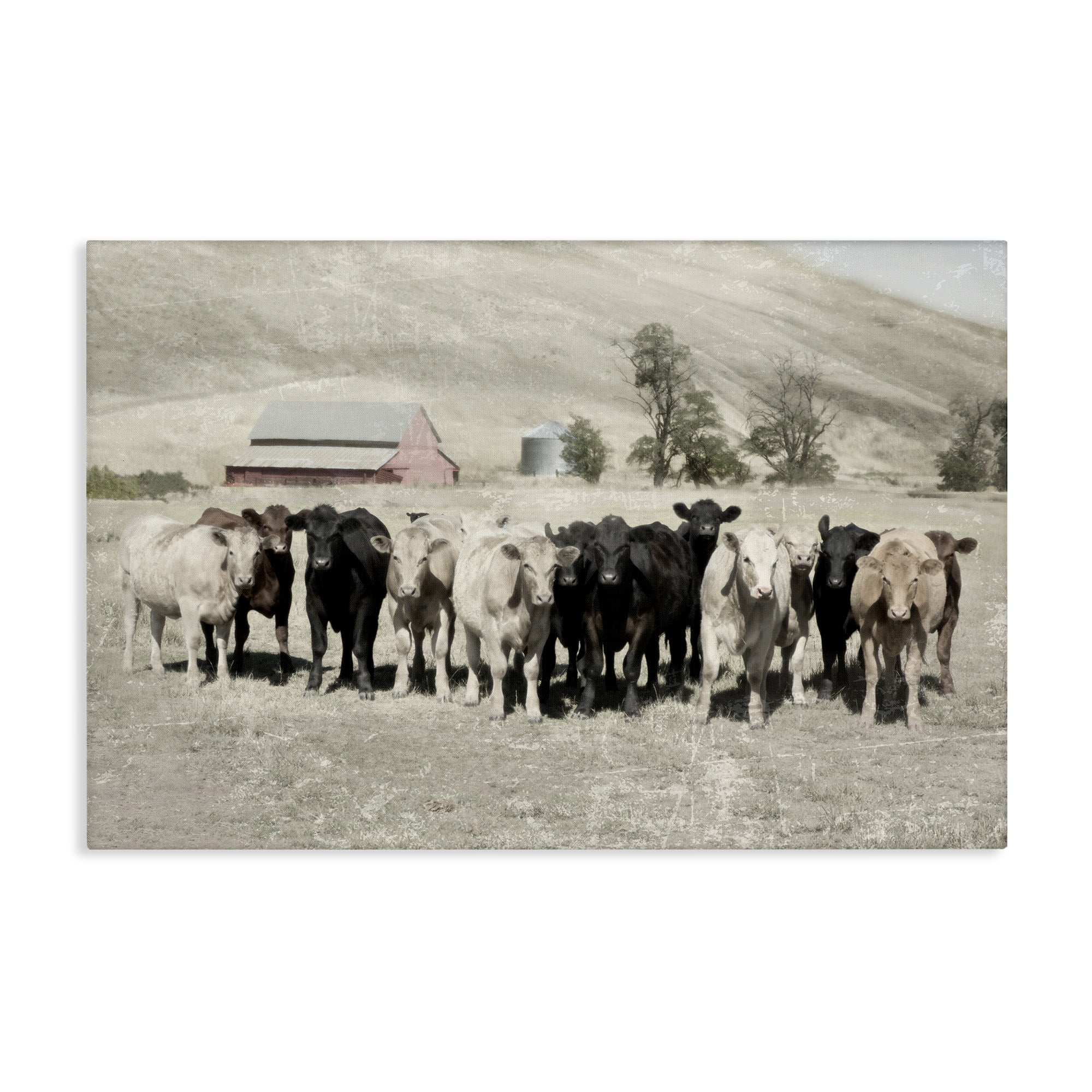 Stupell Industries Varied Cattle on Farm Landscape Painting Gallery Wrapped Canvas Art Print Wall Art, 30 x 20