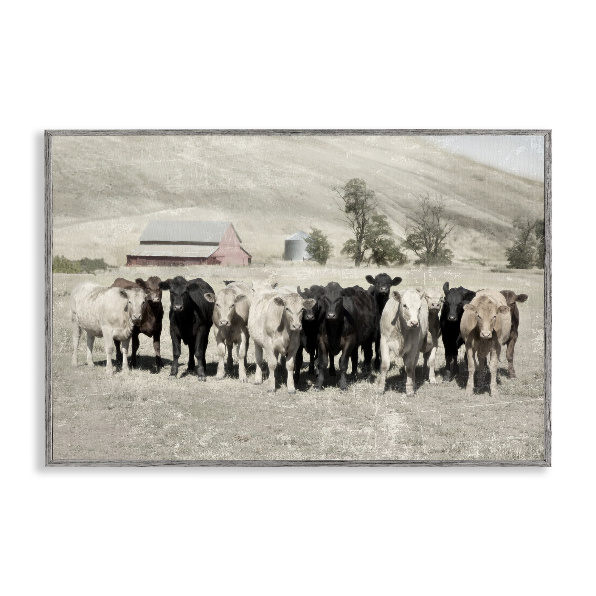 Stupell Industries Varied Cattle on Farm Landscape Painting Gray Framed Art Print Wall Art, 24 x 16