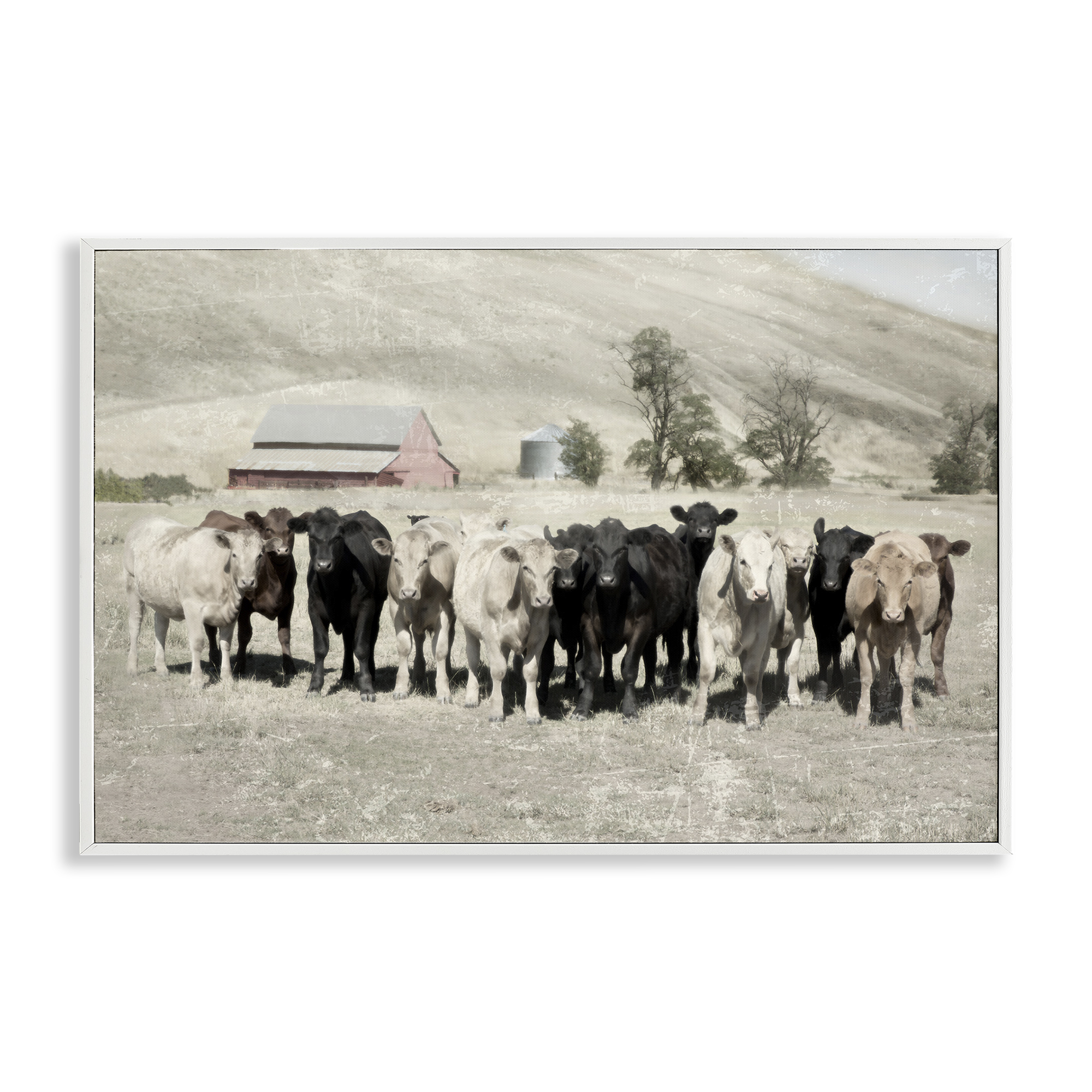 Stupell Industries Varied Cattle on Farm Landscape Painting White Framed Art Print Wall Art, 30 x 20