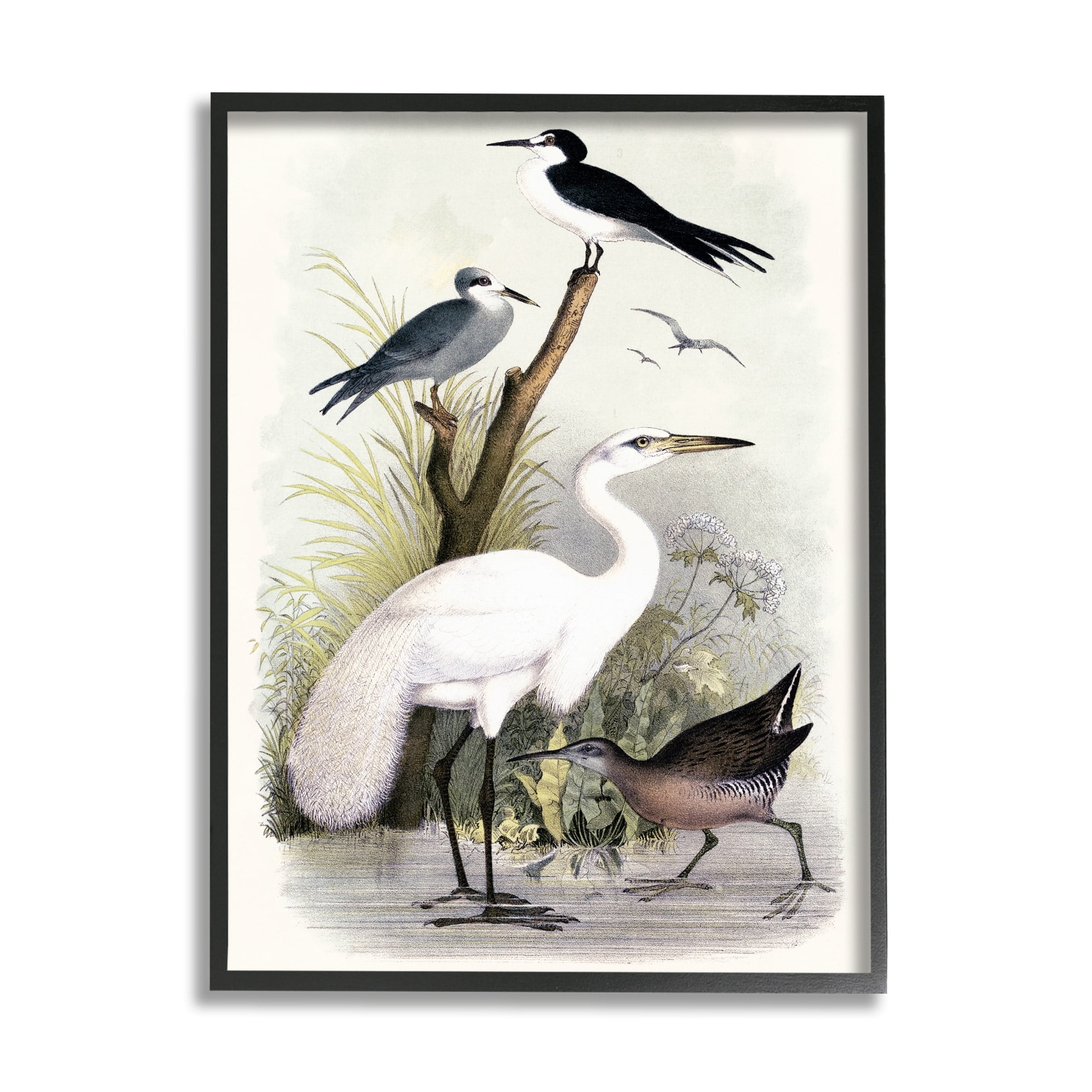 Stupell Industries Varied Crane Birds Gathered Riverbank Stream Botanicals Painting Black Framed Art Print Wall Art, Design by Piddix