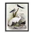 thumbnail image 1 of Stupell Industries Traditional Varied Crane Birds Gathered Riverbank Stream Botanicals Black Floating Frame Canvas Art, 25 x 31, by Piddix, 1 of 7