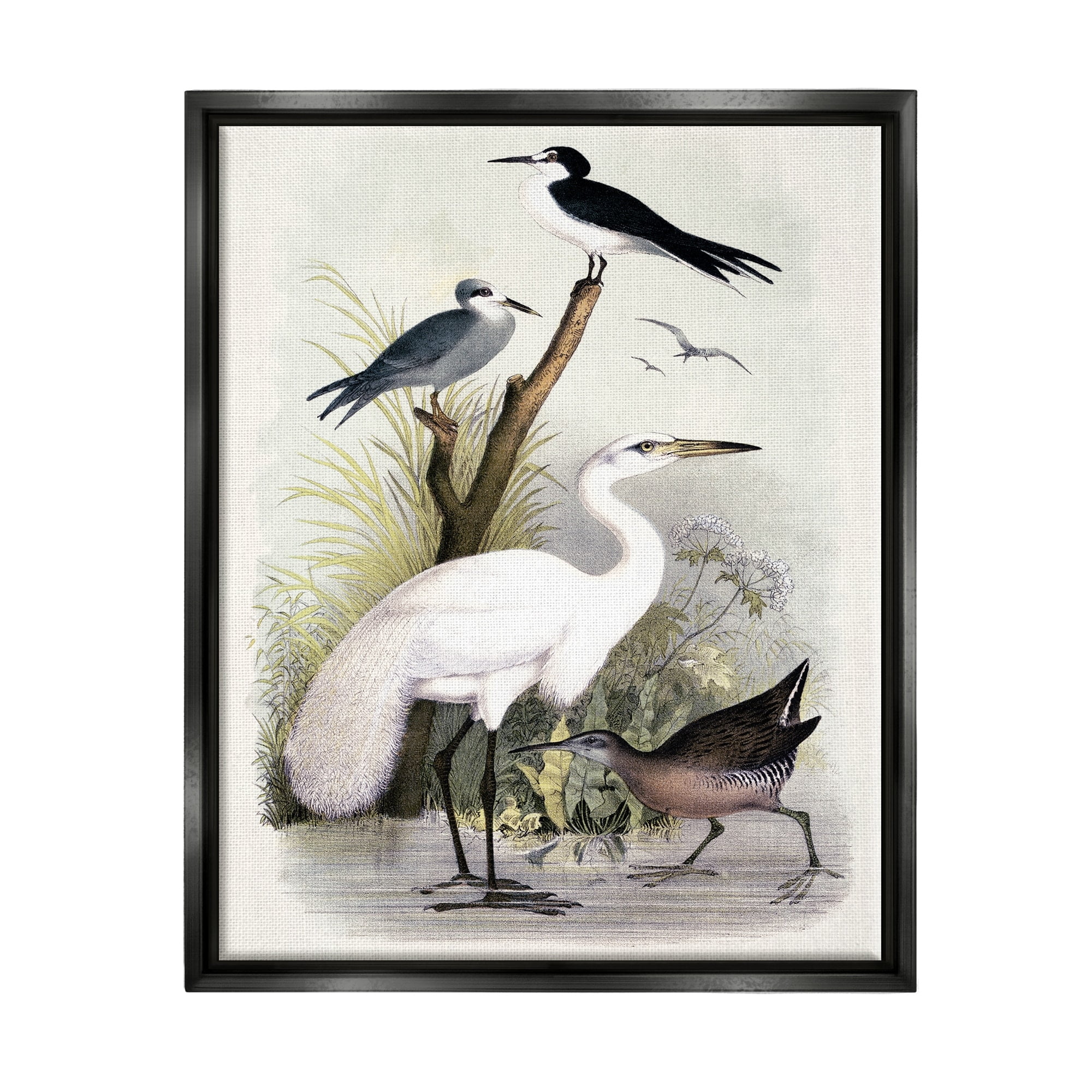 Stupell Industries Varied Crane Birds Gathered Riverbank Stream Botanicals Painting Jet Black Floating Framed Canvas Print Wall Art, Design by Piddix
