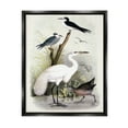 thumbnail image 1 of Stupell Industries Varied Crane Birds Gathered Riverbank Stream Botanicals Painting Jet Black Floating Framed Canvas Print Wall Art, Design by Piddix, 1 of 5