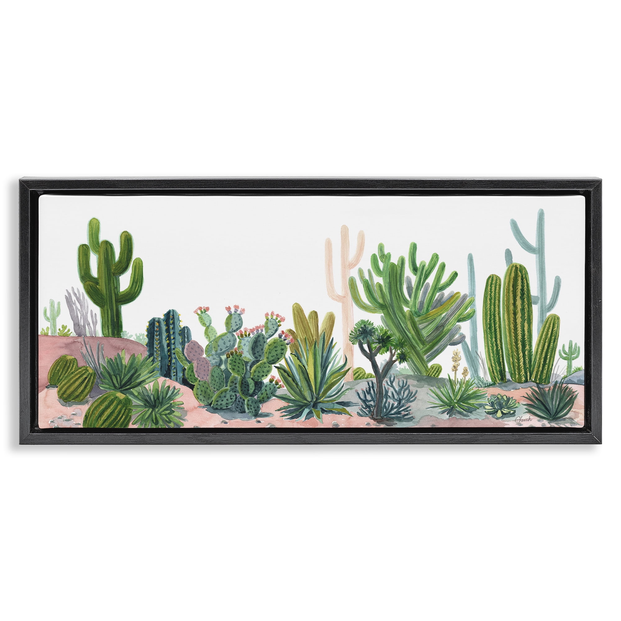 Stupell Industries Varied Desert Vegetation Cacti Botanical & Floral Painting Black Floater Framed Canvas Art Print Wall Art, 25 x 11
