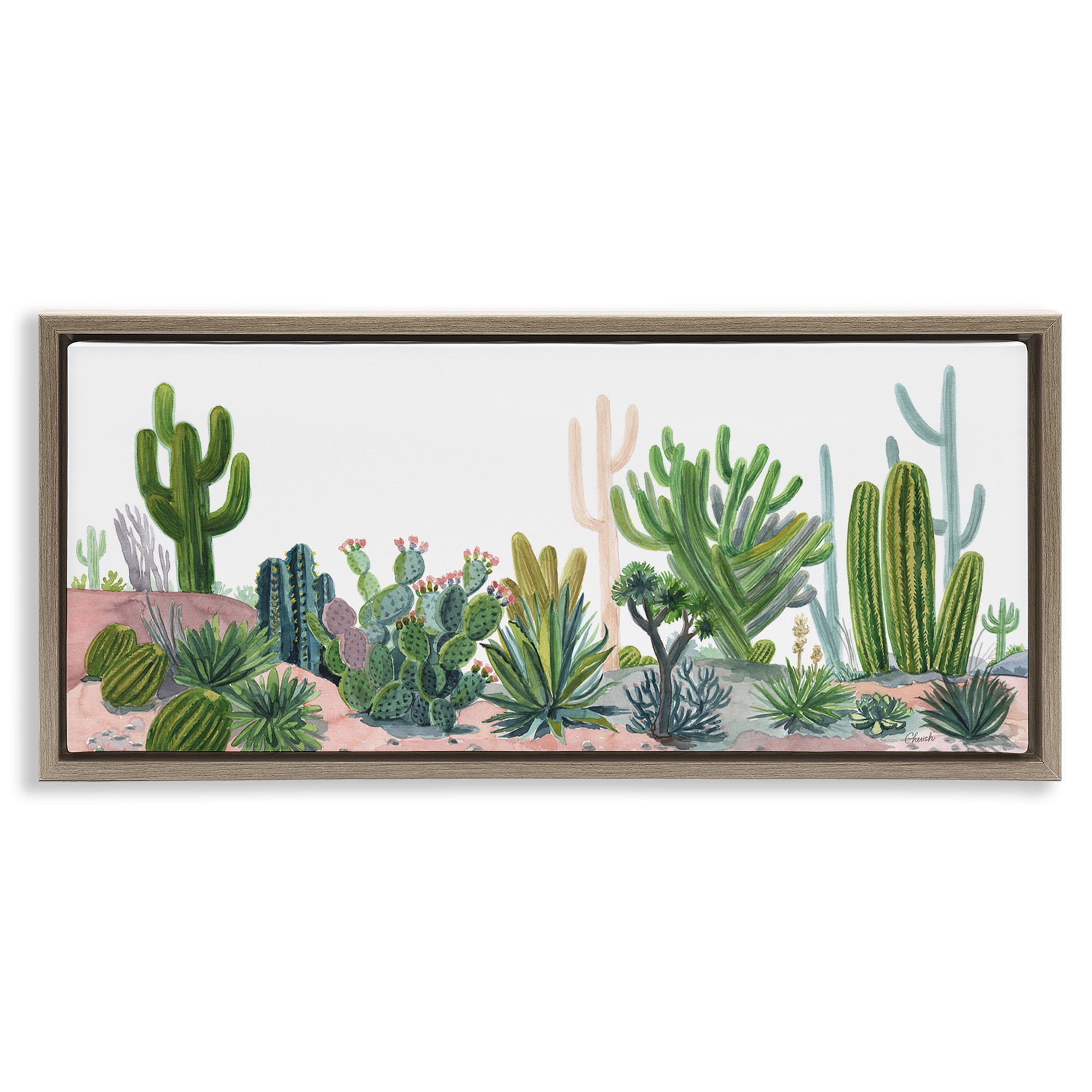 Stupell Industries Varied Desert Vegetation Cacti Botanical & Floral Painting Brown Floater Framed Canvas Art Print Wall Art, 25 x 11