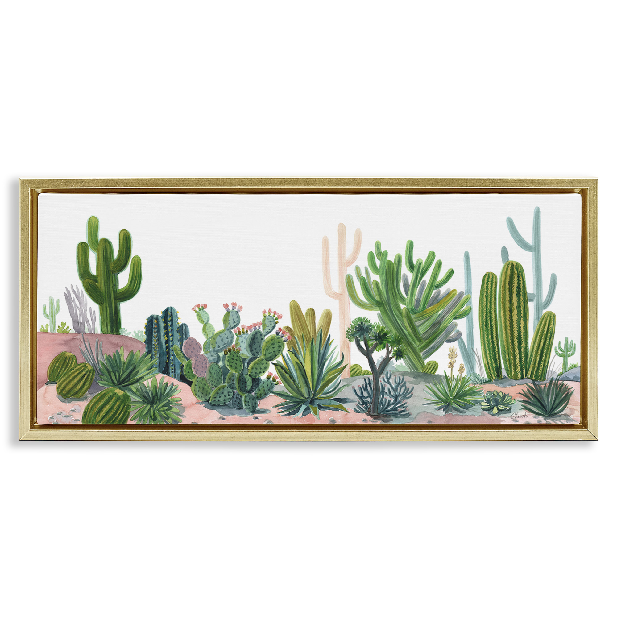 Stupell Industries Varied Desert Vegetation Cacti Botanical & Floral Painting Gold Floater Framed Canvas Art Print Wall Art, 25 x 11