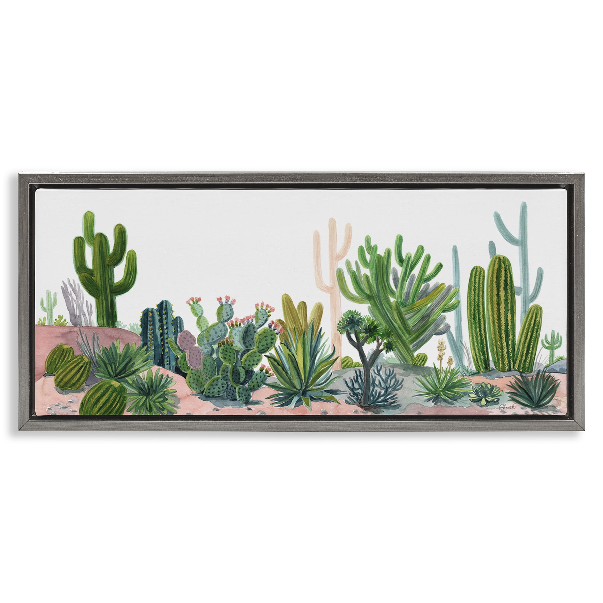Stupell Industries Varied Desert Vegetation Cacti Botanical & Floral Painting Gray Floater Framed Canvas Art Print Wall Art, 25 x 11