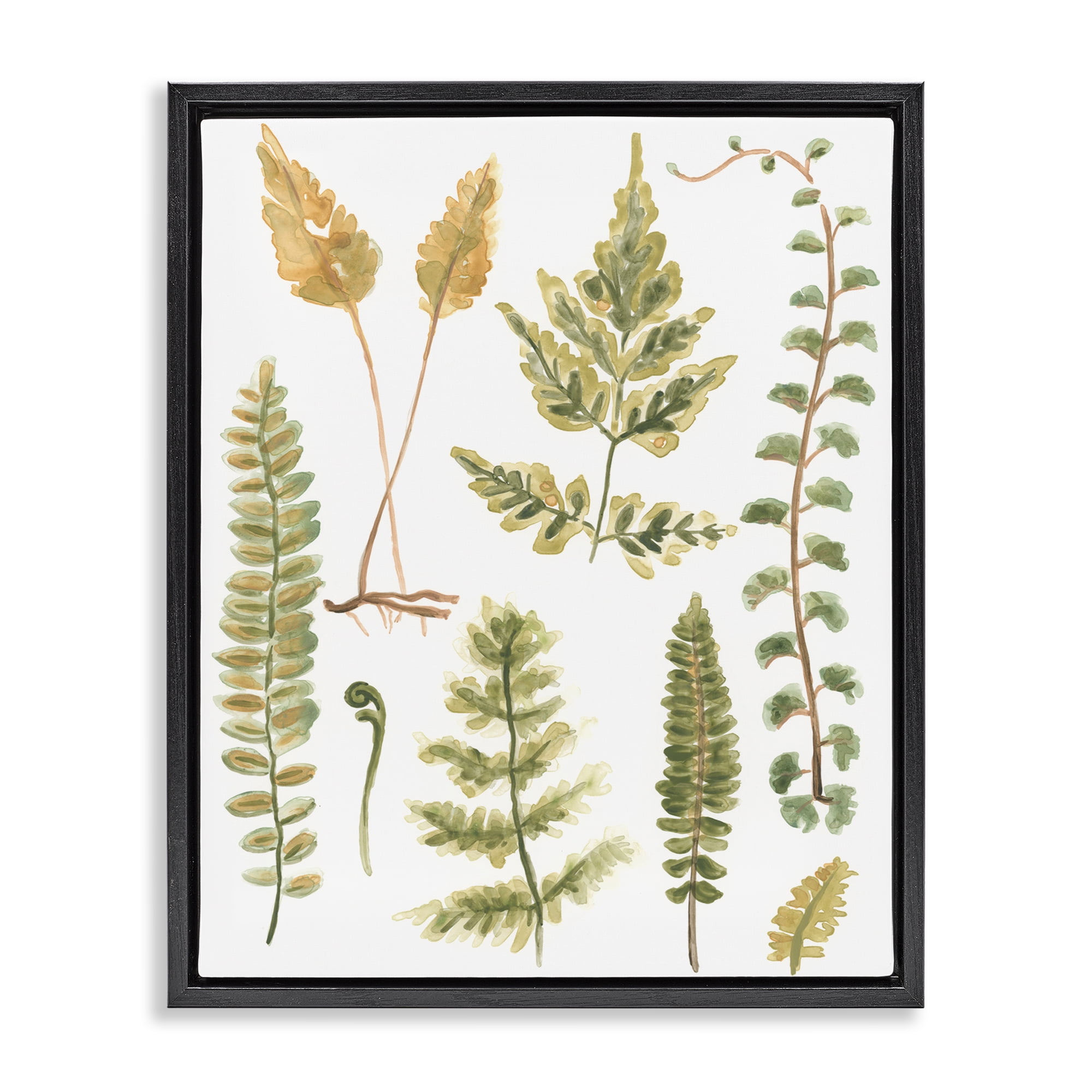 Stupell Industries Varied Fern Leaves Botanical & Floral Painting Black Floater Framed Art Print Wall Art, 25 x 31