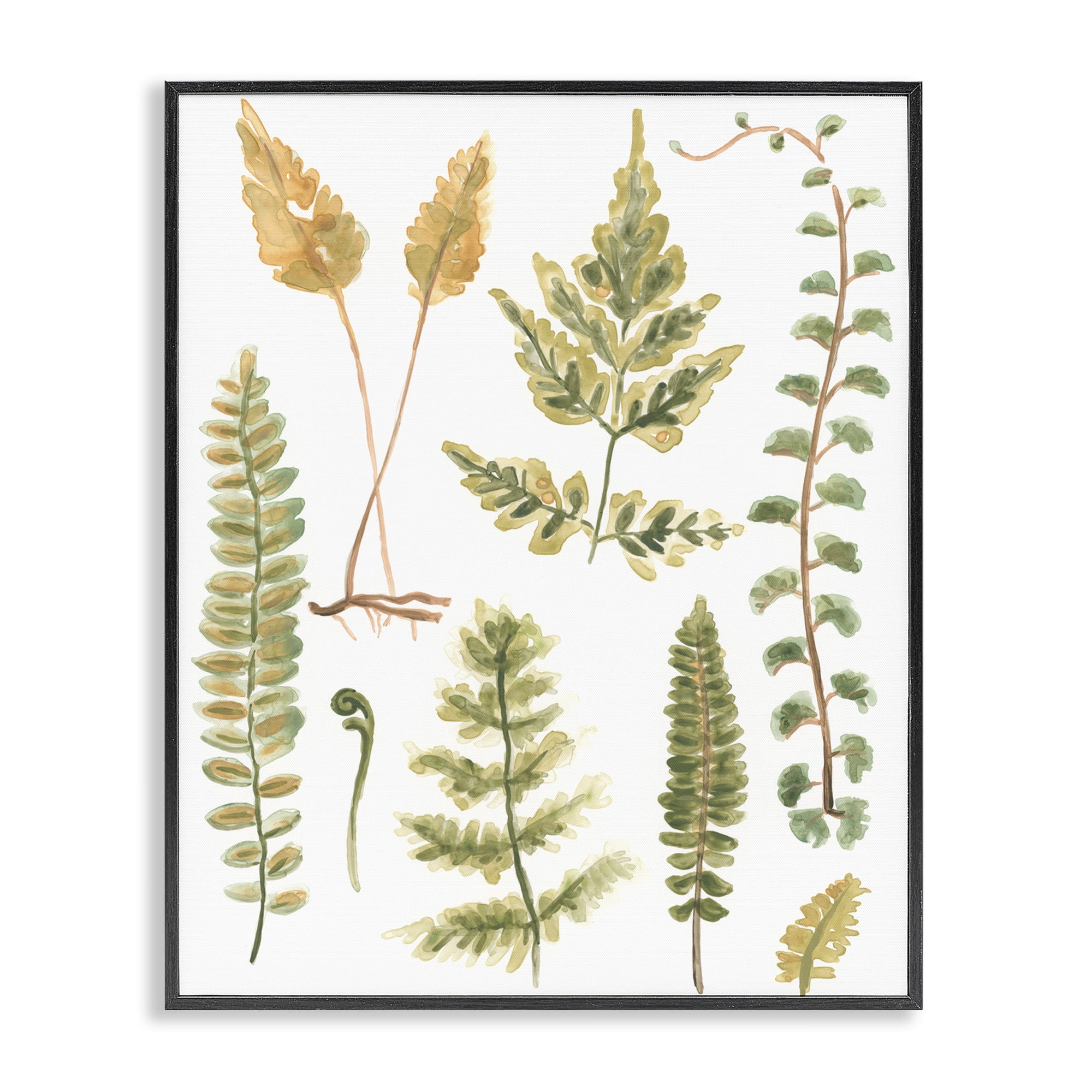 Stupell Industries Varied Fern Leaves Botanical & Floral Painting Black Framed Art Print Wall Art, 16 x 20