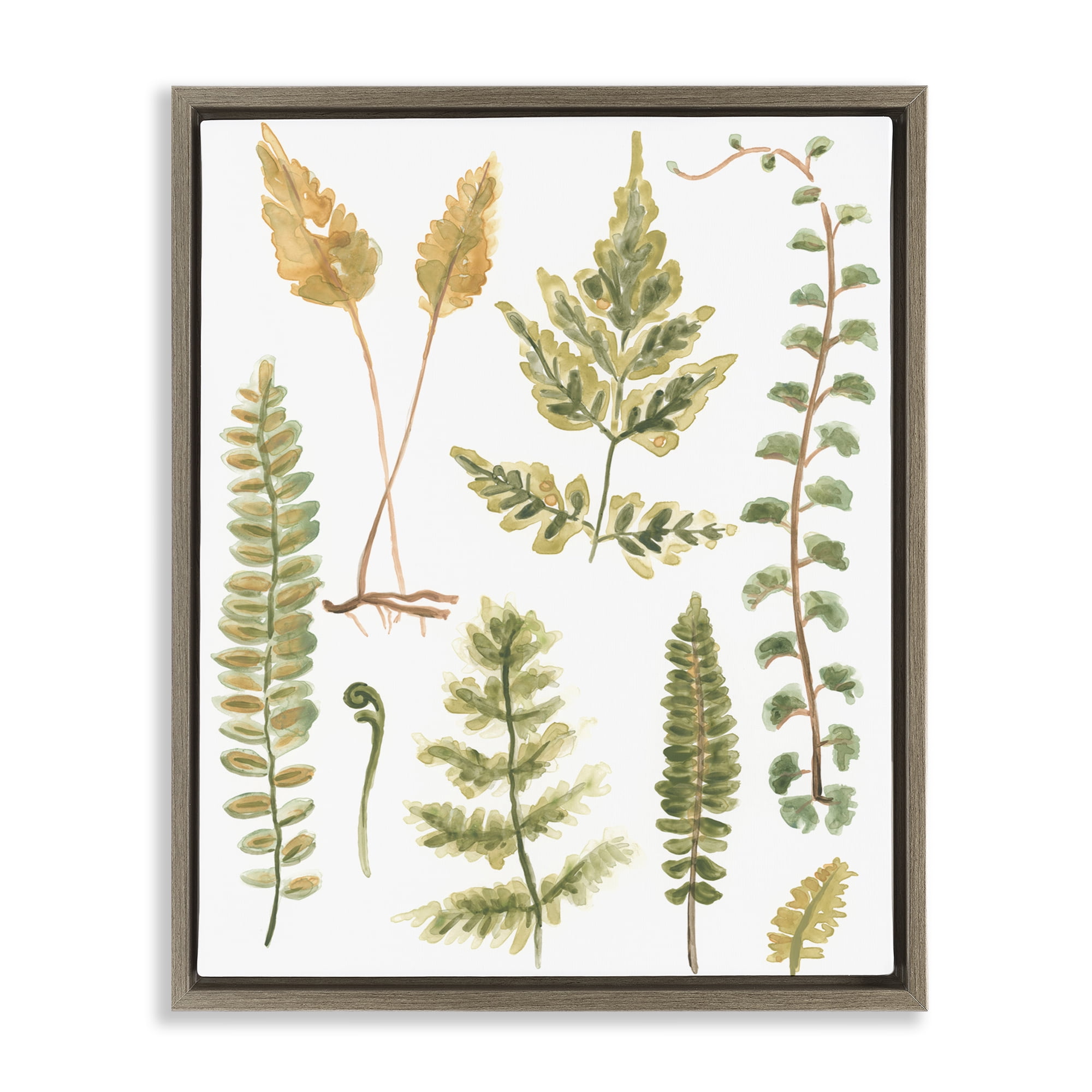 Stupell Industries Varied Fern Leaves Botanical & Floral Painting Brown Floater Framed Art Print Wall Art, 25 x 31
