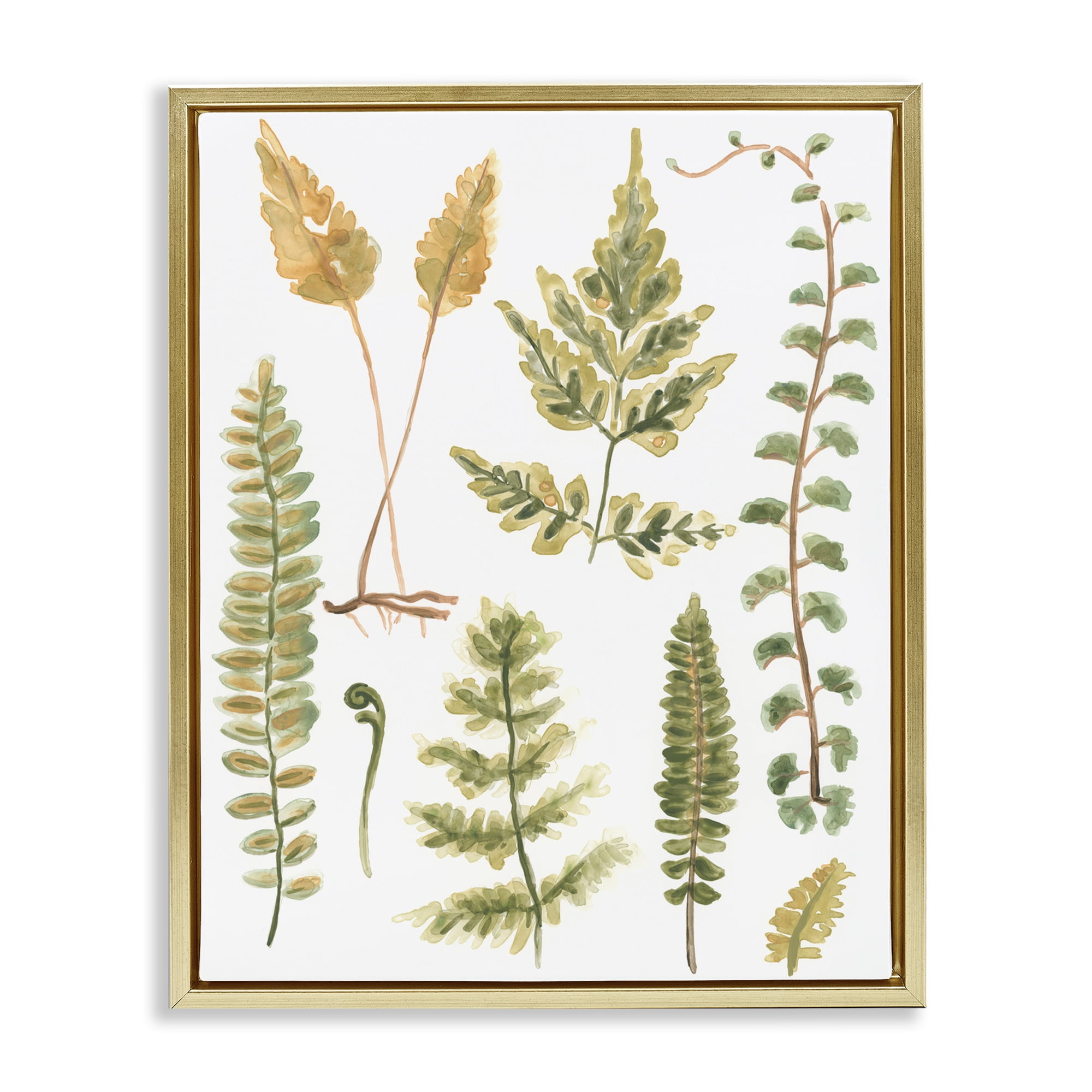 Stupell Industries Varied Fern Leaves Botanical & Floral Painting Gold Floater Framed Art Print Wall Art, 25 x 31