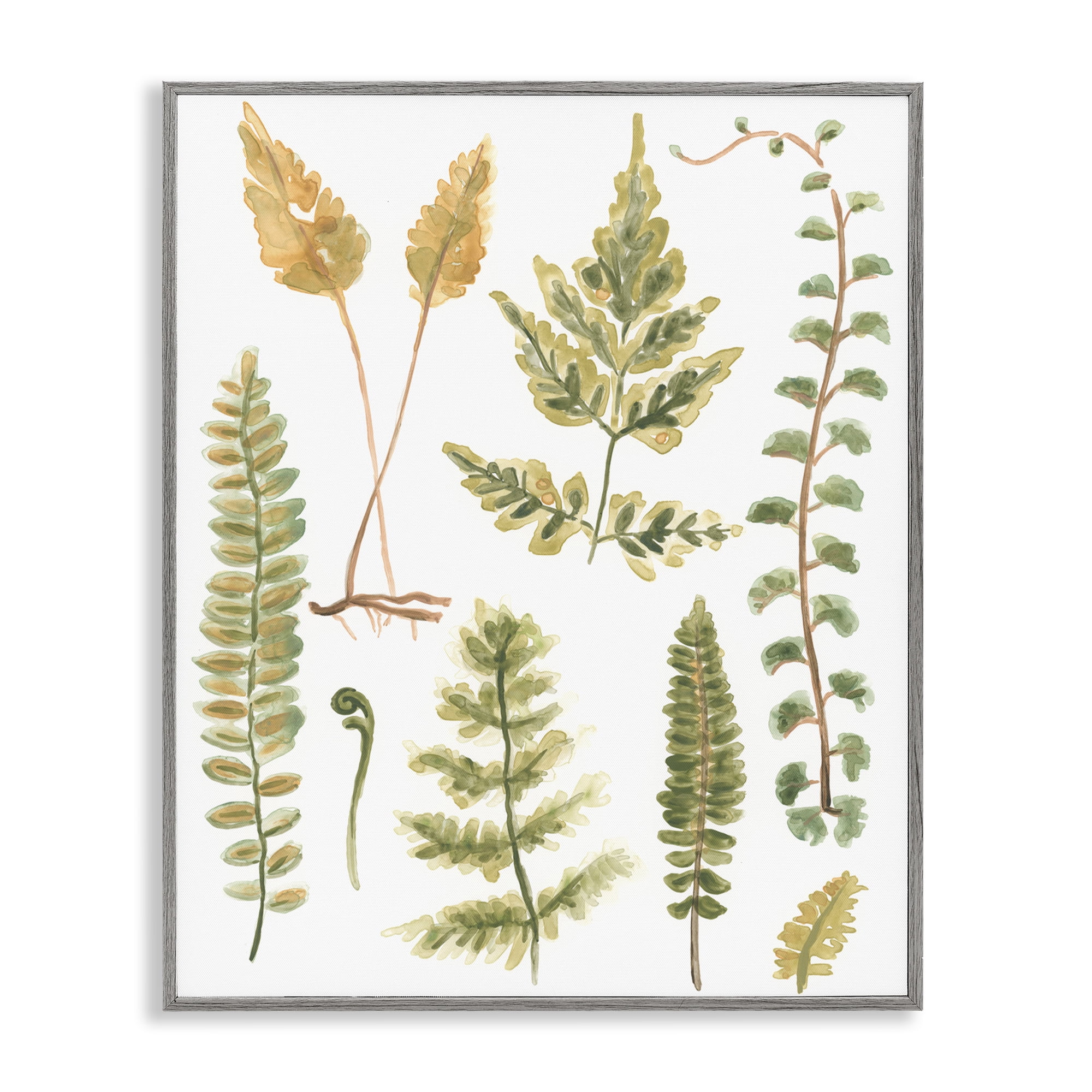 Stupell Industries Varied Fern Leaves Botanical & Floral Painting Gray Framed Art Print Wall Art, 16 x 20