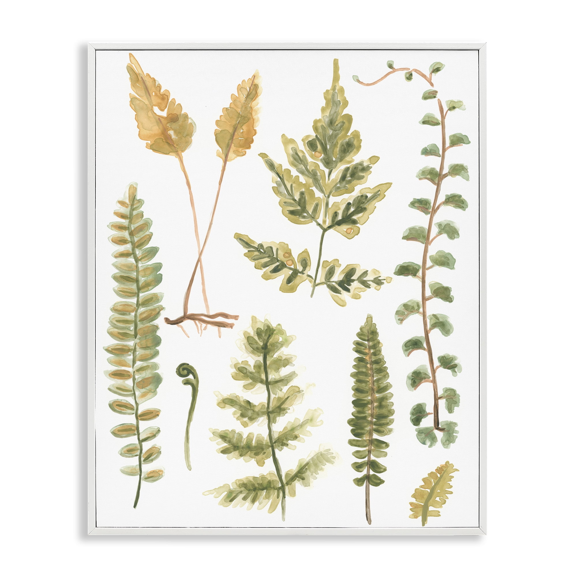 Stupell Industries Varied Fern Leaves Botanical & Floral Painting White Framed Art Print Wall Art, 24 x 30