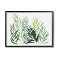 thumbnail image 1 of Stupell Industries Varied Grasses Botanical Leaves Graphic Art Black Framed Art Print Wall Art, Design by Grace Popp, 1 of 7