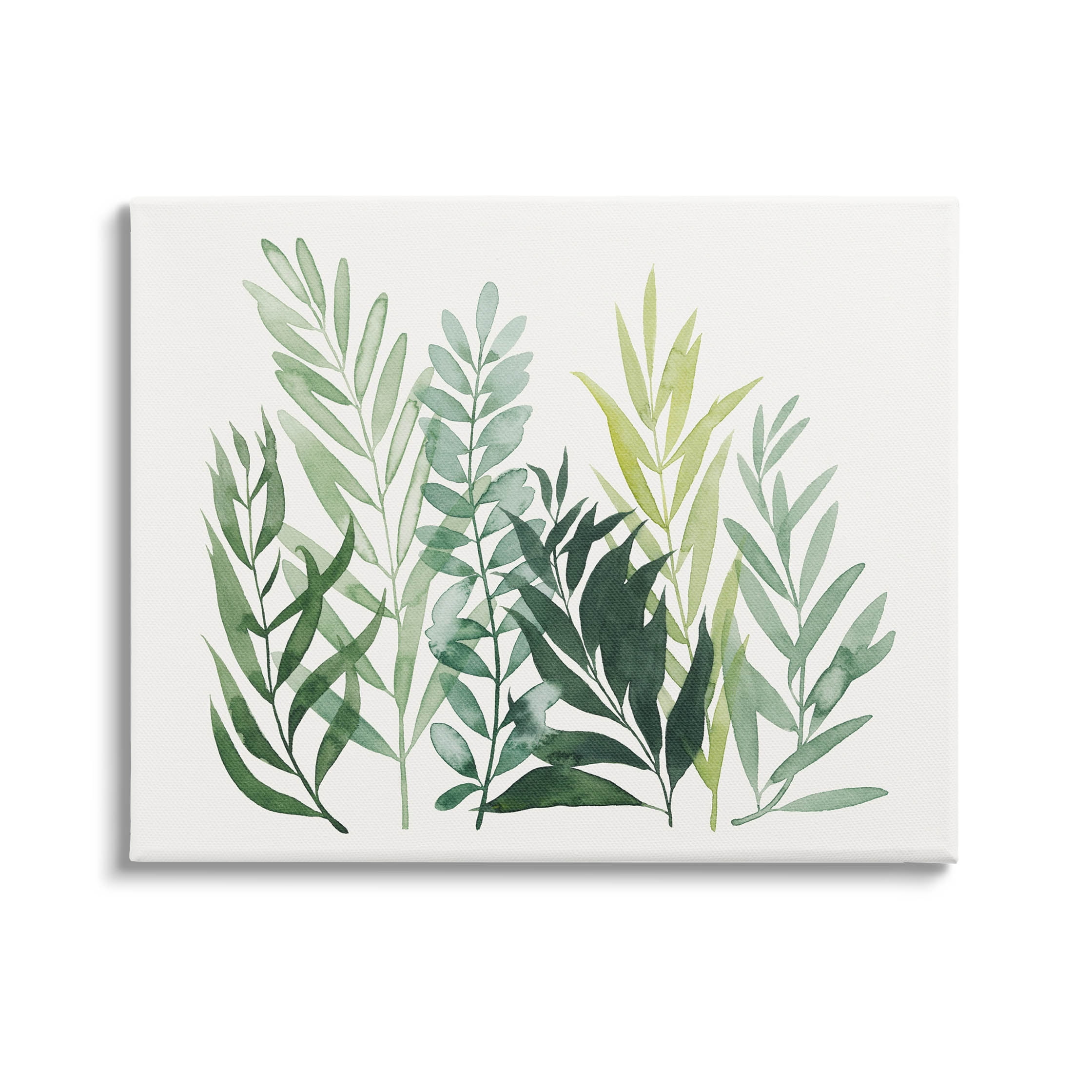 Stupell Industries Varied Grasses Botanical Leaves Graphic Art Gallery Wrapped Canvas Print Wall Art, Design by Grace Popp