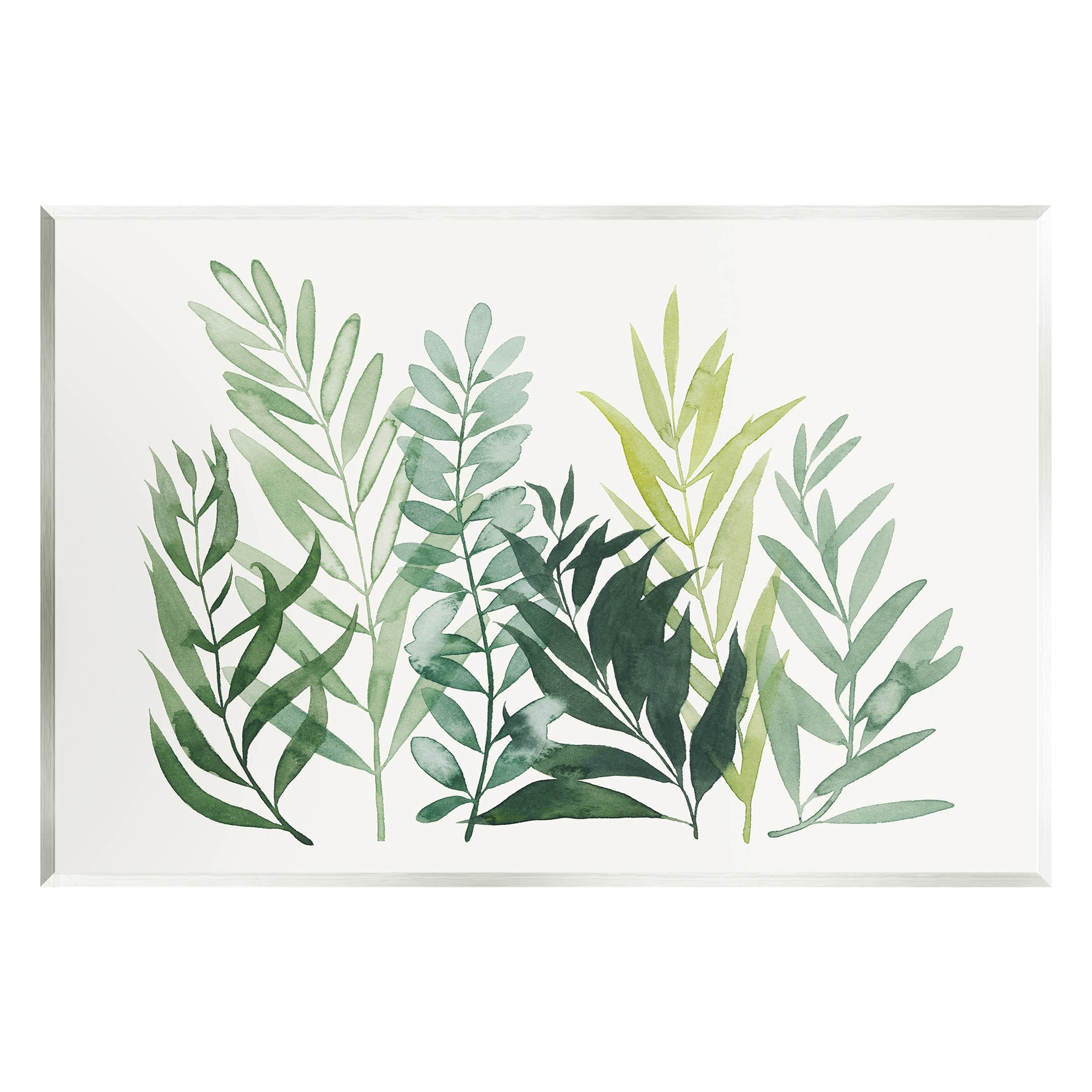 Stupell Industries Varied Grasses Botanical Leaves Graphic Art Unframed Art Print Wall Art, Design by Grace Popp