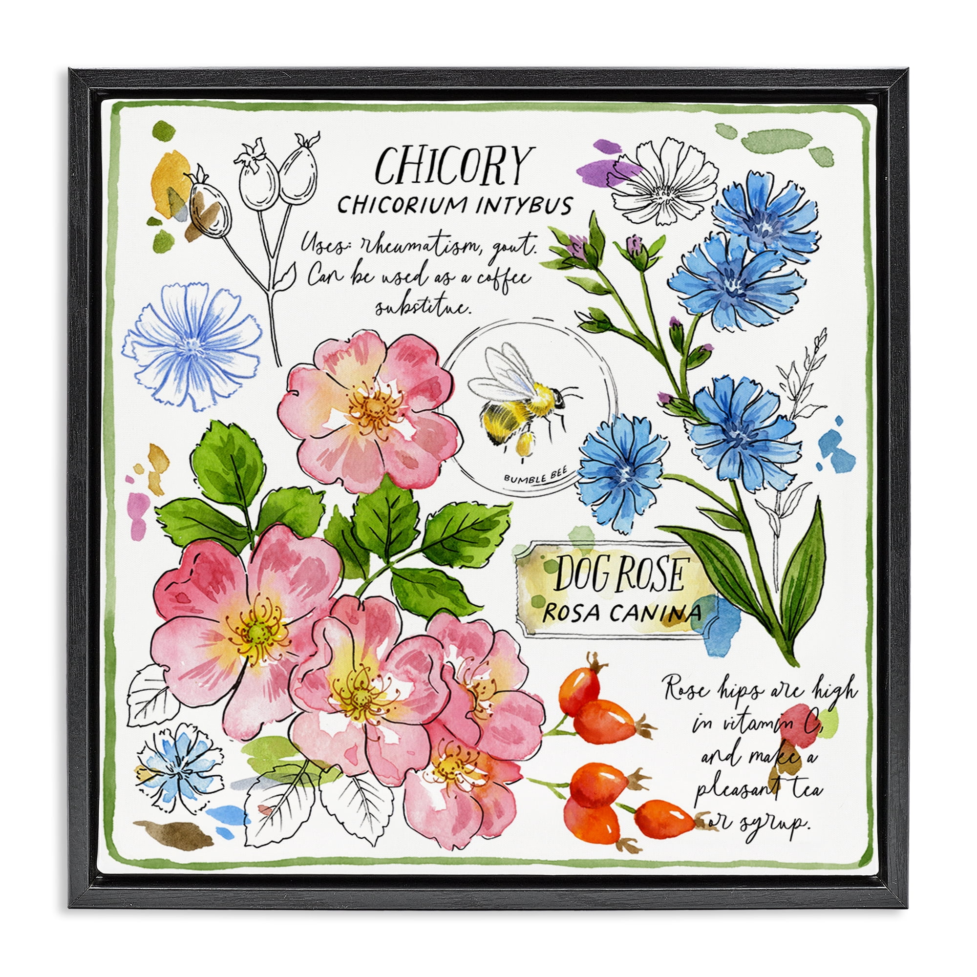 Stupell Industries Varied Herbs Benefits Plants & Flowers Painting Black Floater Framed Canvas Art Print Wall Art, 25 x 25