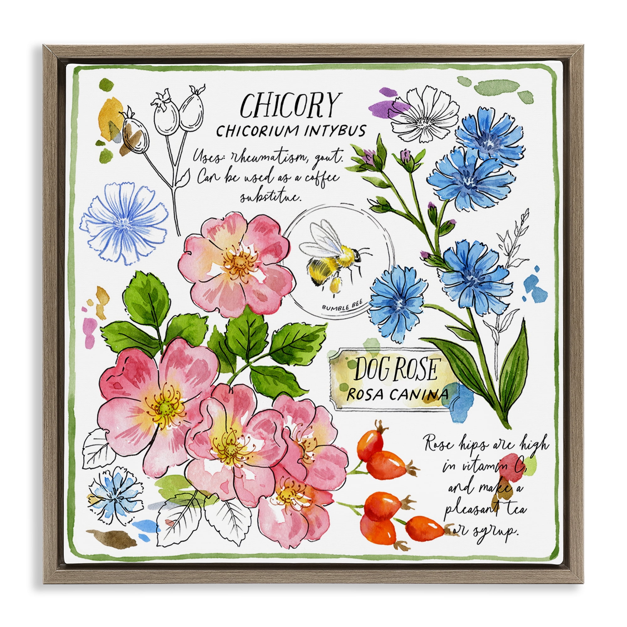 Stupell Industries Varied Herbs Benefits Plants & Flowers Painting Brown Floater Framed Canvas Art Print Wall Art, 18 x 18