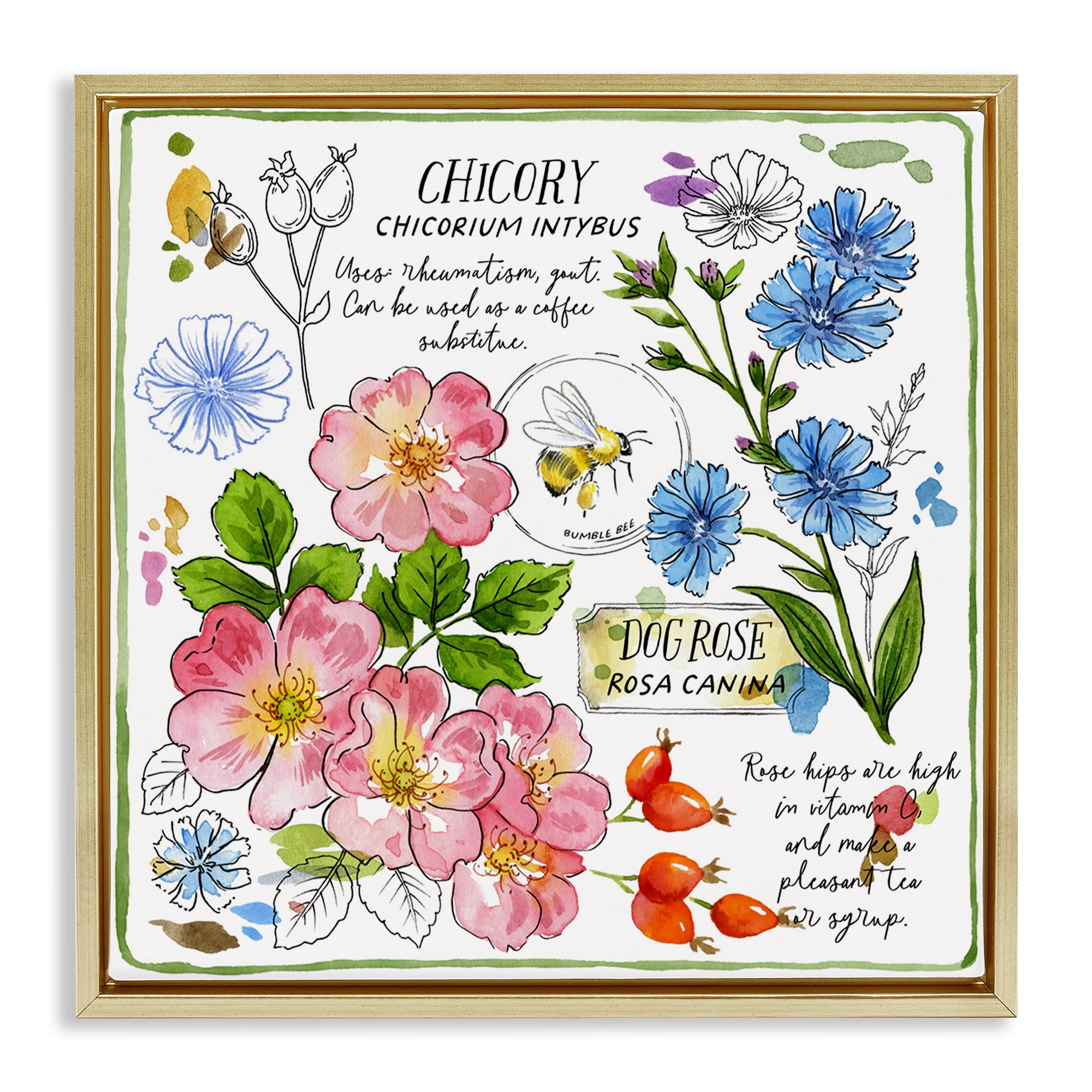 Stupell Industries Varied Herbs Benefits Plants & Flowers Painting Gold Floater Framed Canvas Art Print Wall Art, 18 x 18
