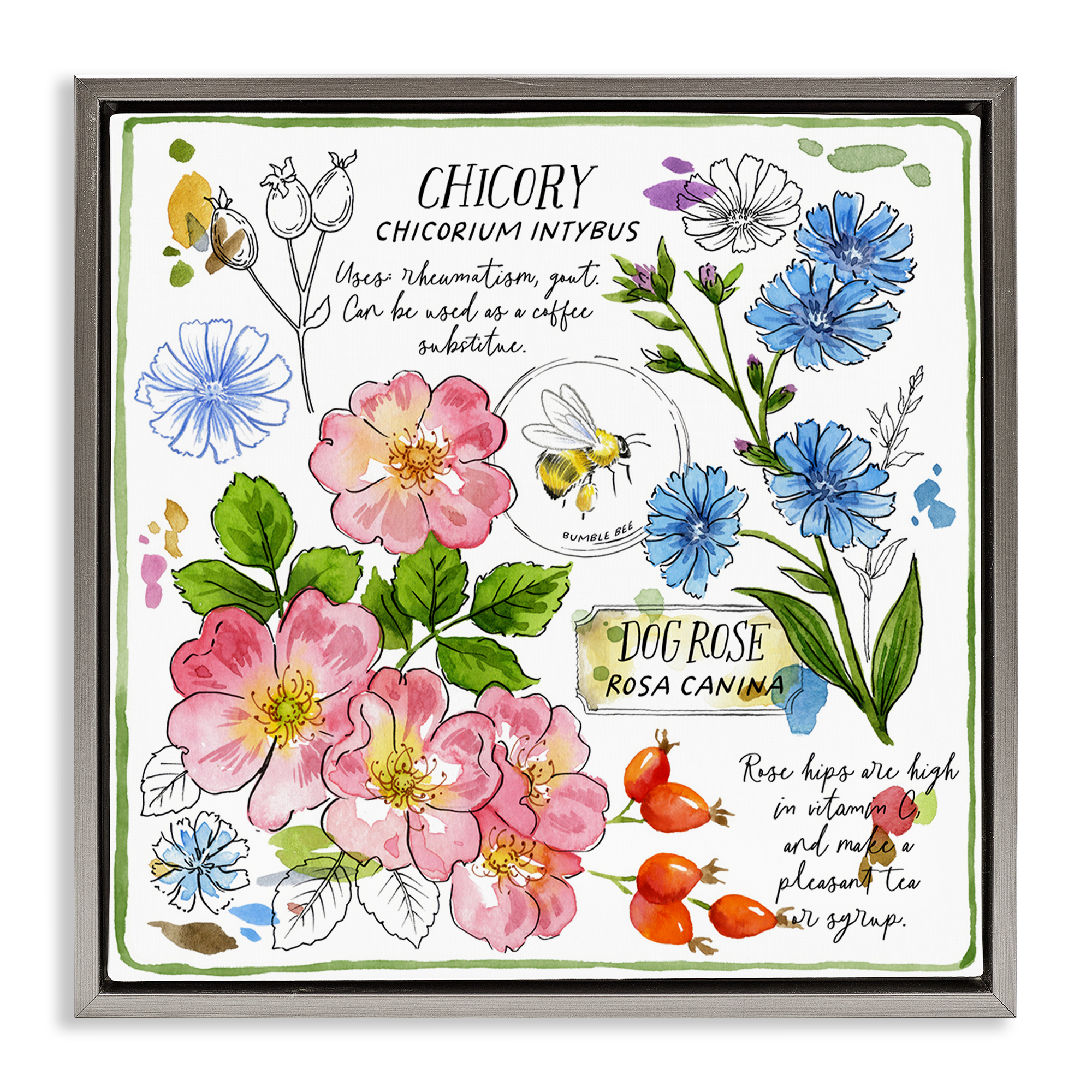 Stupell Industries Varied Herbs Benefits Plants & Flowers Painting Gray Floater Framed Canvas Art Print Wall Art, 25 x 25