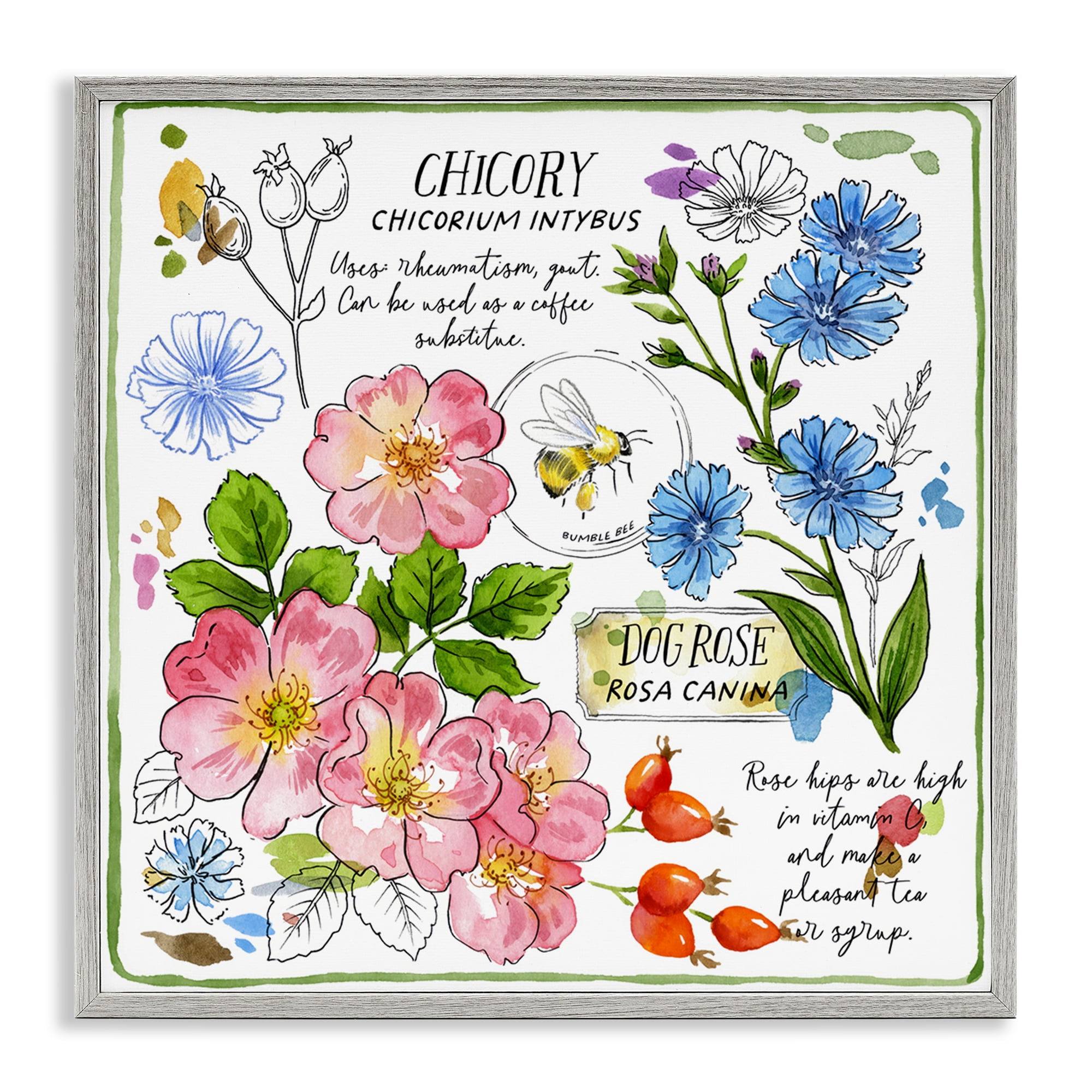Stupell Industries Varied Herbs Benefits Plants & Flowers Painting Gray Framed Art Print Wall Art, 12 x 12
