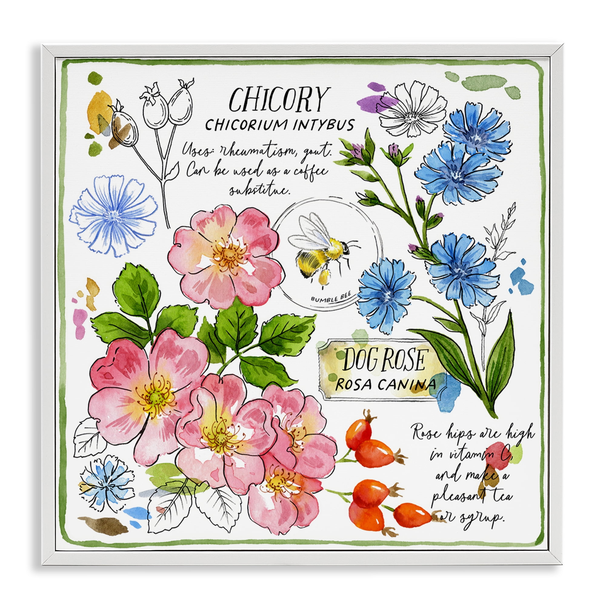 Stupell Industries Varied Herbs Benefits Plants & Flowers Painting White Framed Art Print Wall Art, 24 x 24