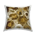 thumbnail image 1 of Stupell Industries Varied Mineral Geode Shapes Printed Throw Pillow Design by Danielle Carson, 1 of 6