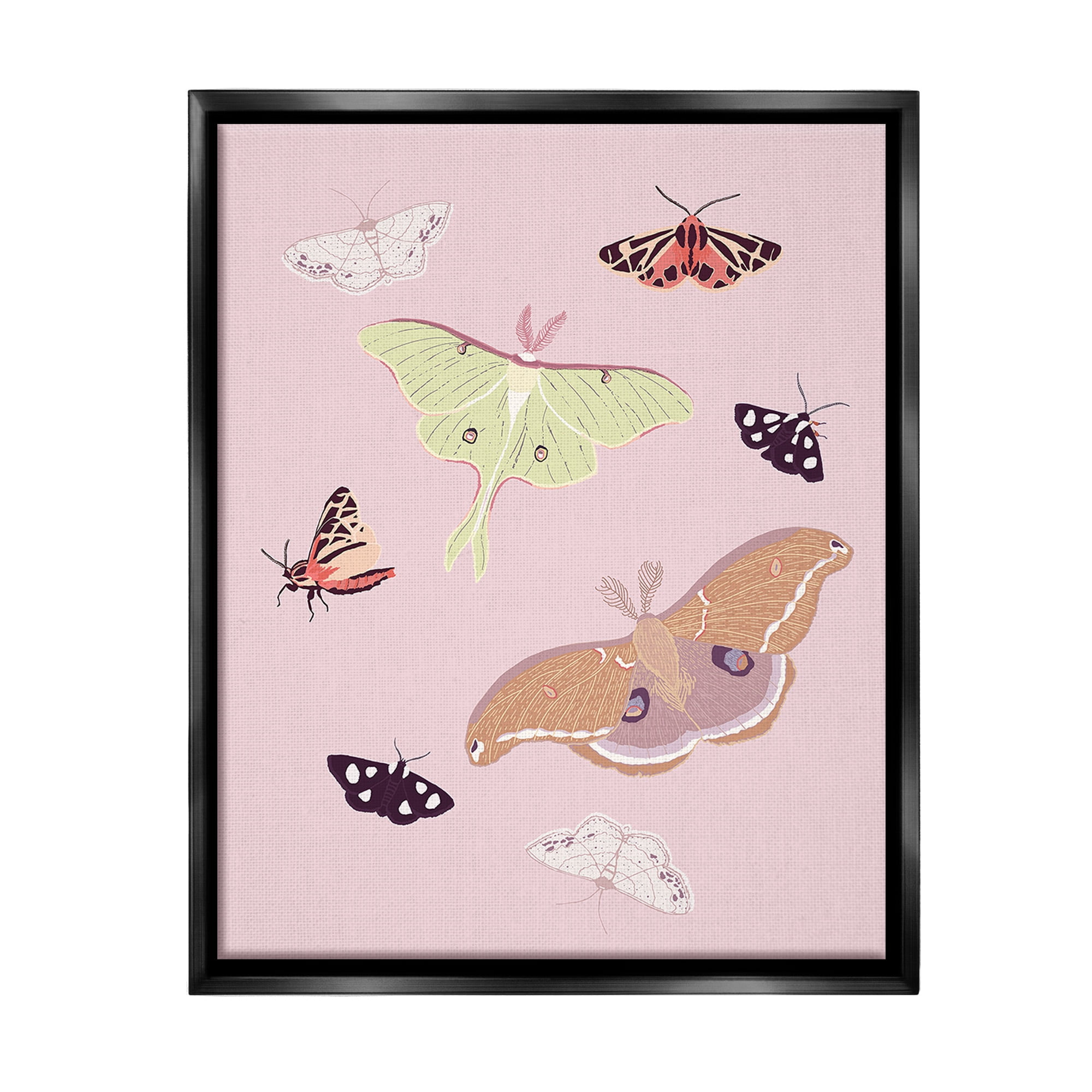 Stupell Industries Varied Moth Pattern Animals & Insects Painting Black Floater Framed Canvas Art Print Wall Art, 25 x 31