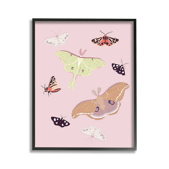 Stupell Industries Varied Moth Pattern Animals & Insects Painting Black Framed Art Print Wall Art, 11 x 14