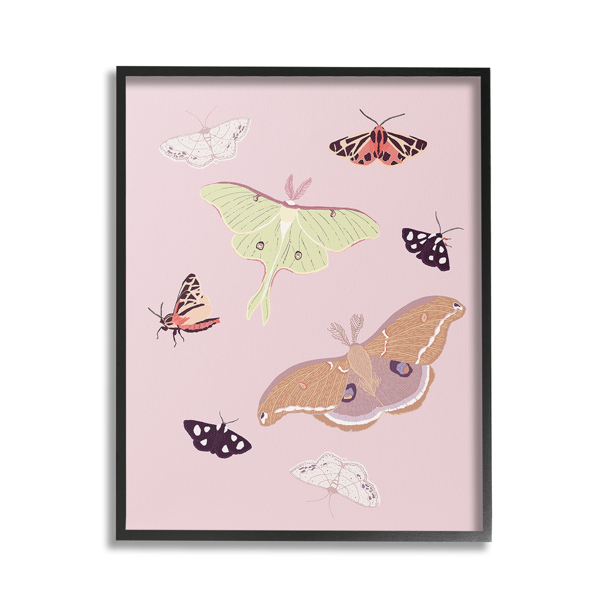 Stupell Industries Varied Moth Pattern Animals & Insects Painting Black Framed Art Print Wall Art, 16 x 20