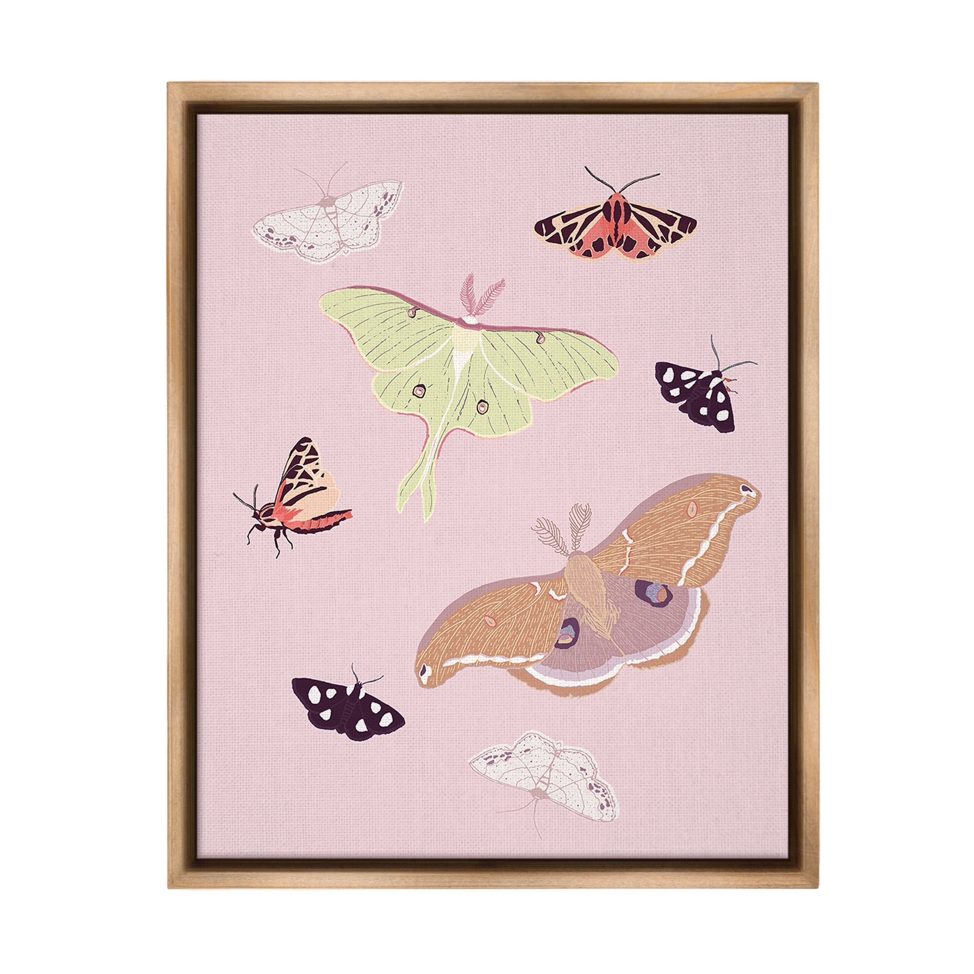 Stupell Industries Varied Moth Pattern Animals & Insects Painting Brown Floater Framed Canvas Art Print Wall Art, 17 x 21