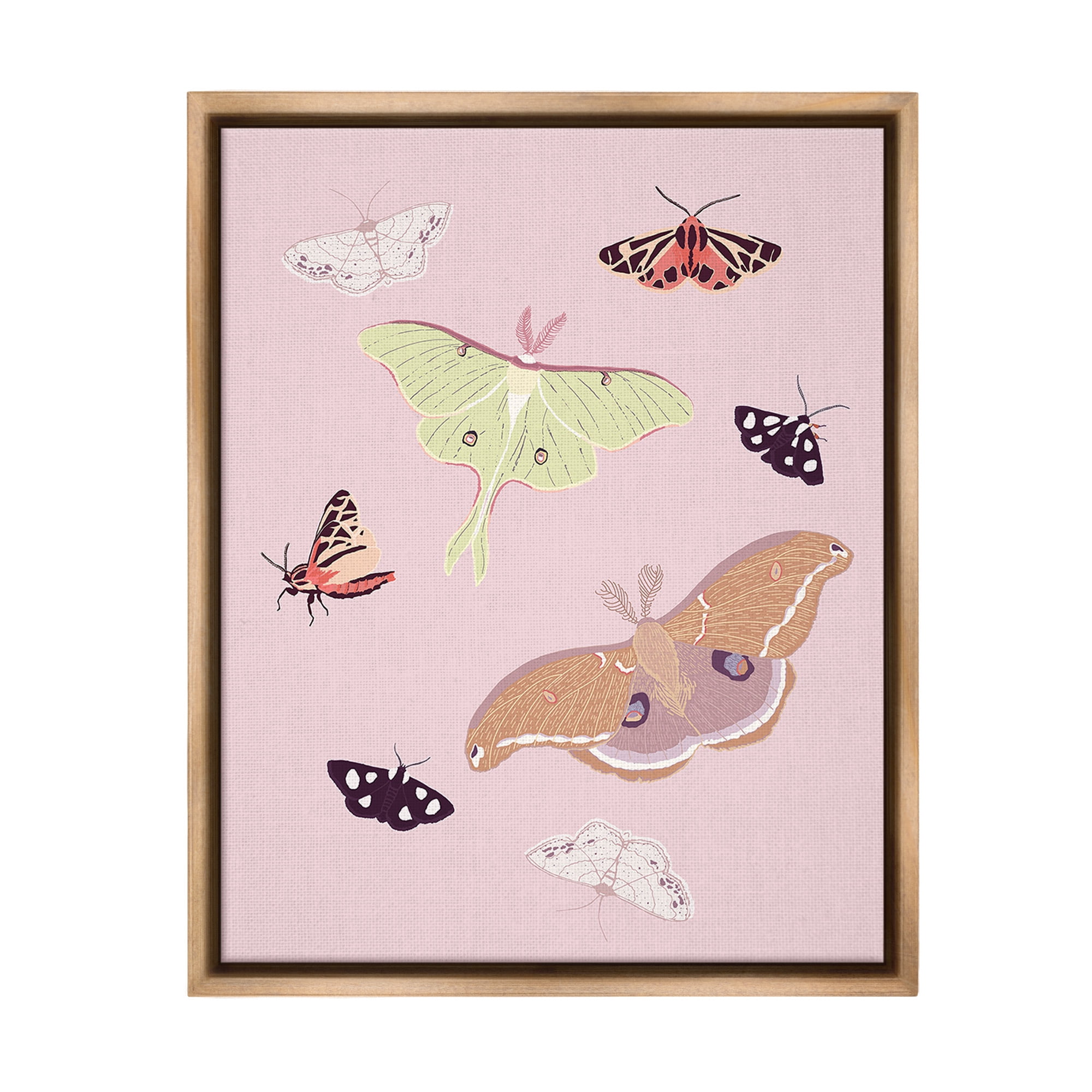Stupell Industries Varied Moth Pattern Animals & Insects Painting Brown Floater Framed Canvas Art Print Wall Art, 25 x 31