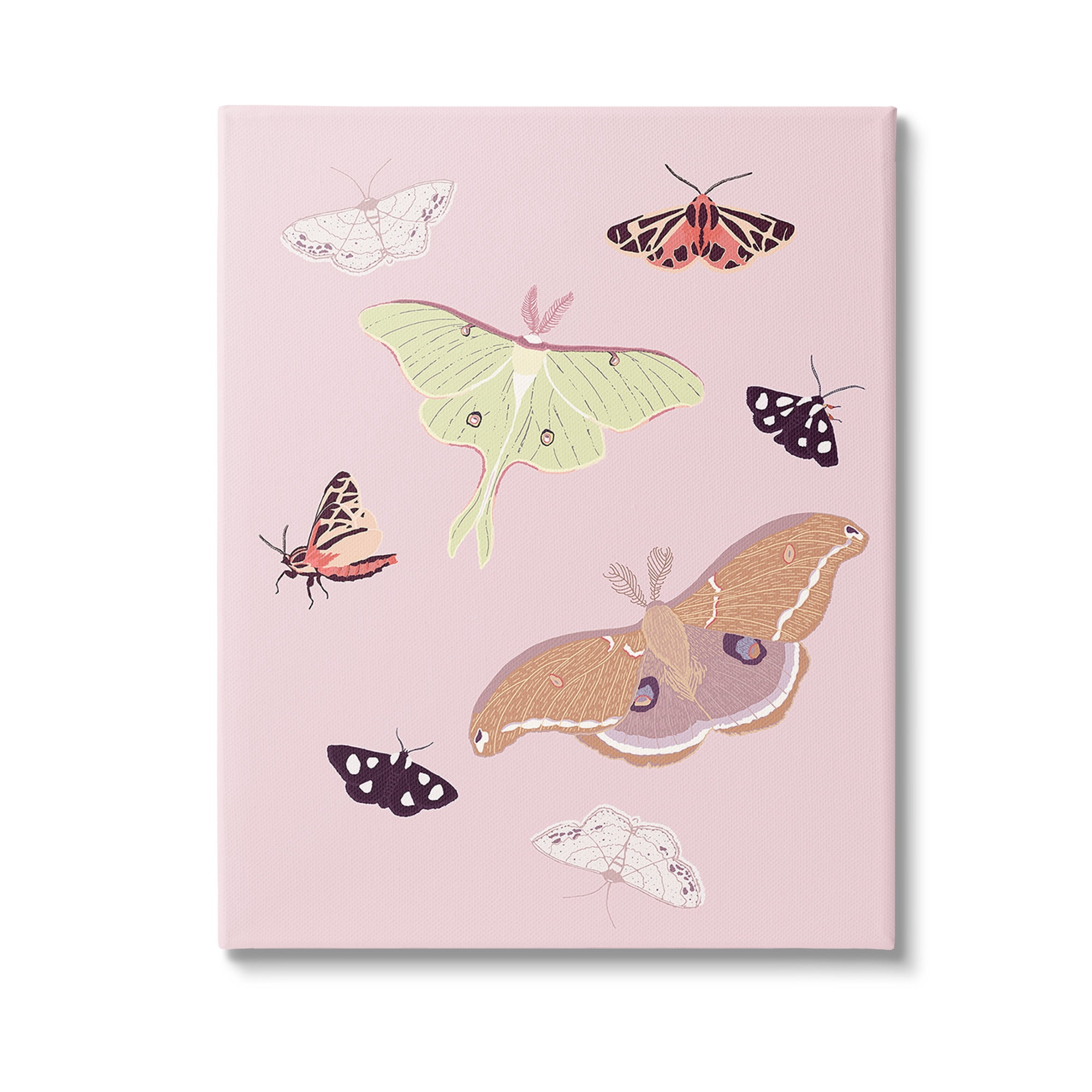 Stupell Industries Varied Moth Pattern Animals & Insects Painting Gallery Wrapped Canvas Art Print Wall Art, 30 x 40